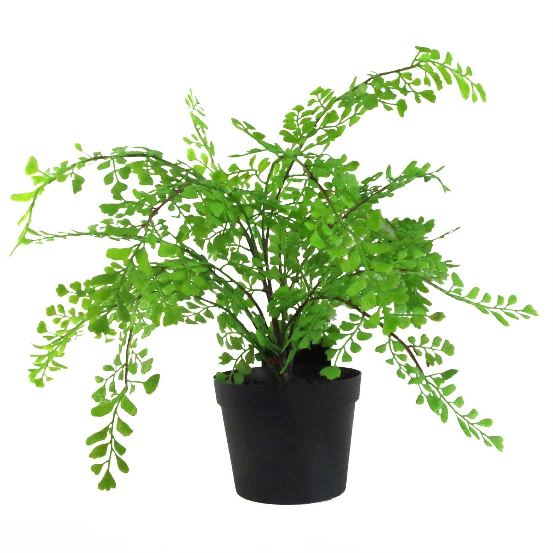Leaf 35cm Artificial Potted Maiden Fern Plant
