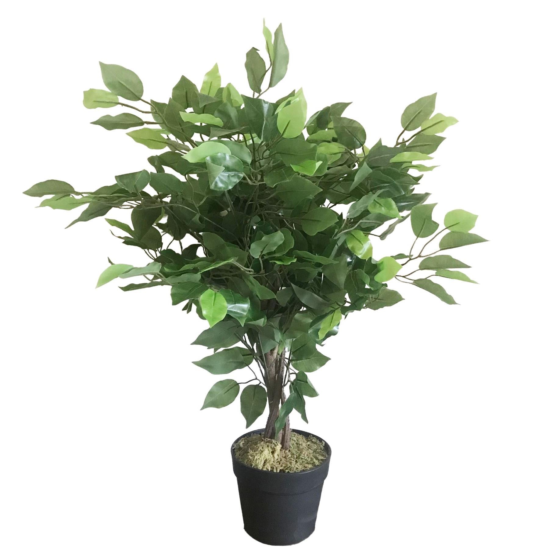 Leaf Design UK 60cm Realistic Artificial Ficus Tree Plant