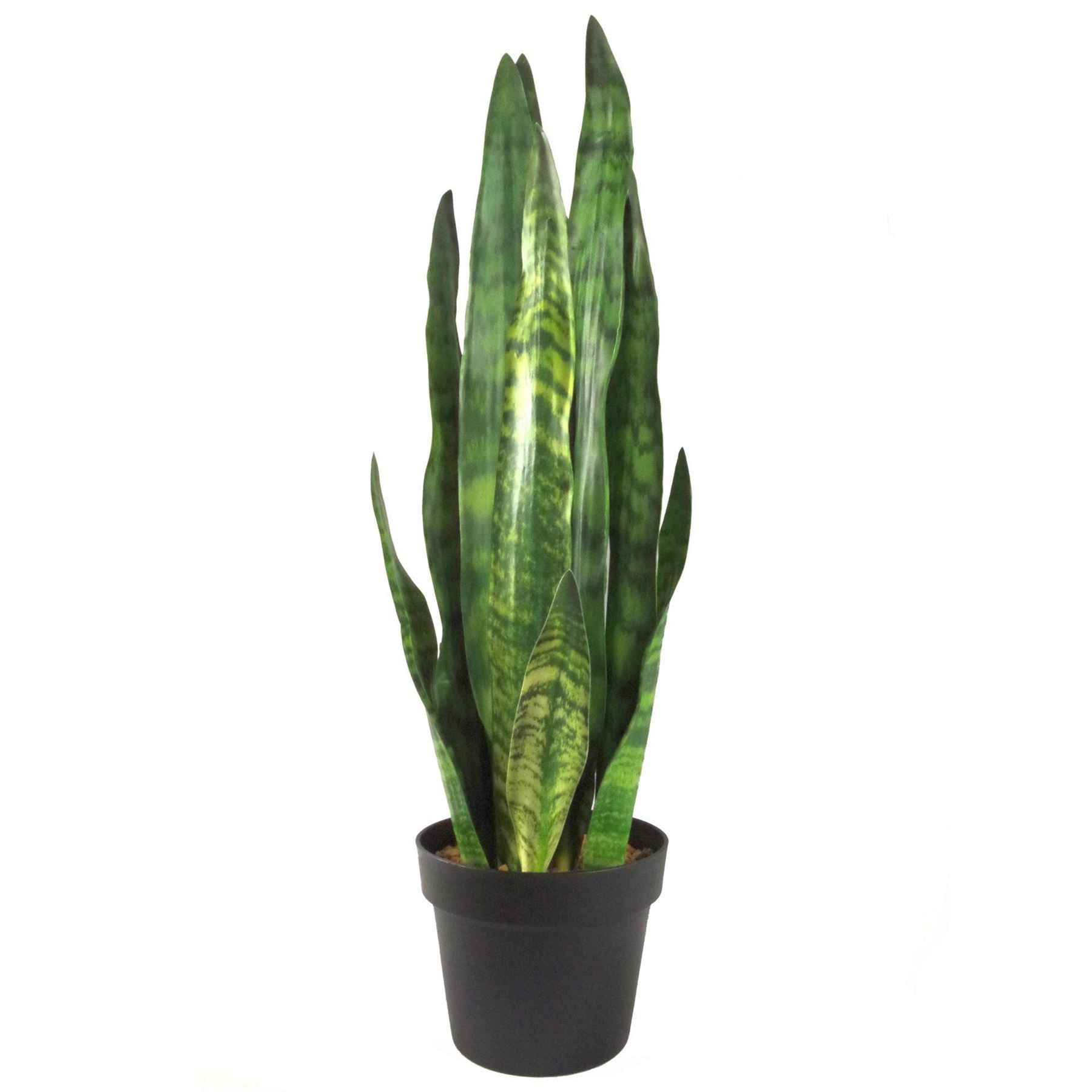 Leaf Design Tropical Artificial Sansevieria Zeylanica Plant 70cm