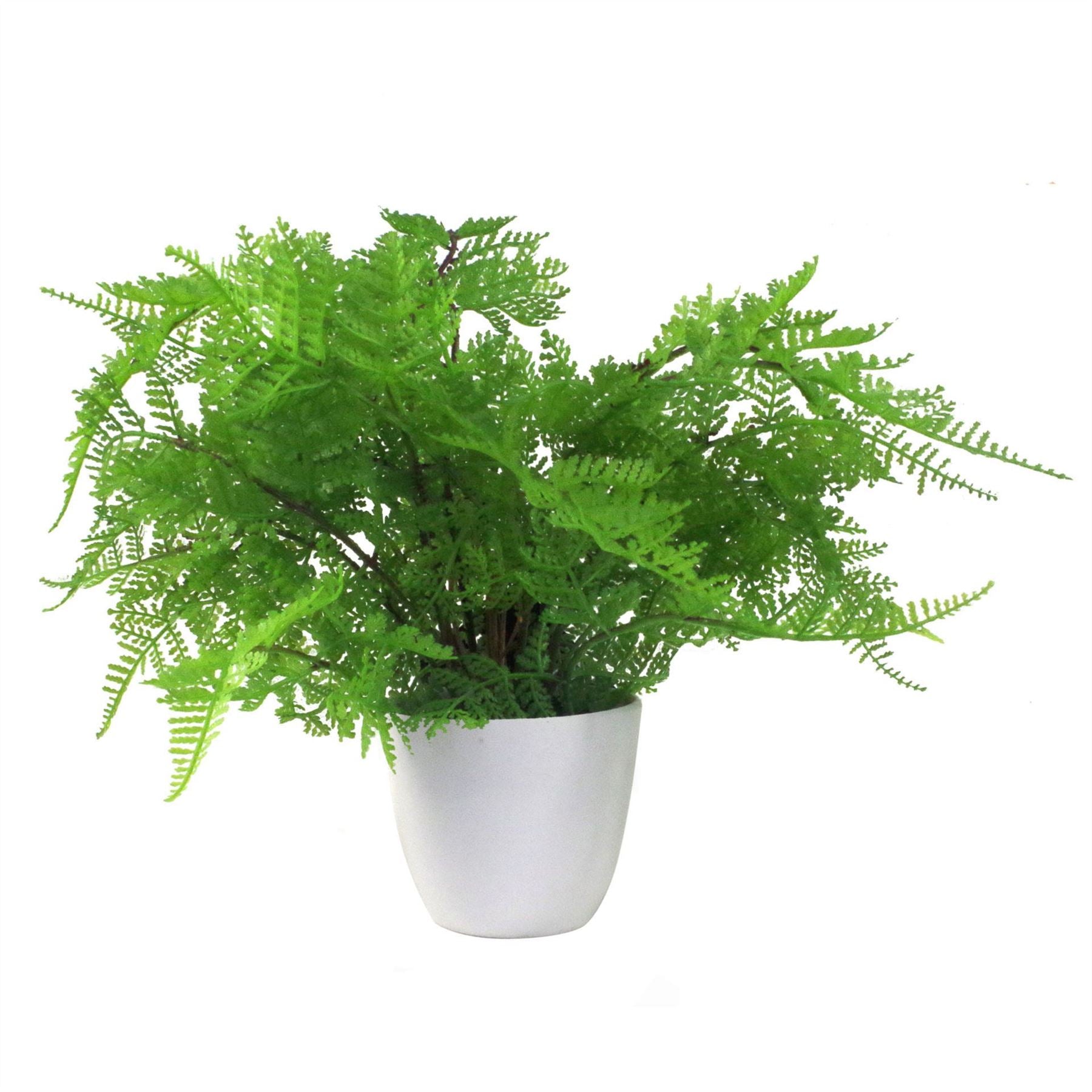 Leaf 30cm Realistic Artificial Potted Lady Fern (Athyrium Filix-Femina) in Weighted Plastic Pot