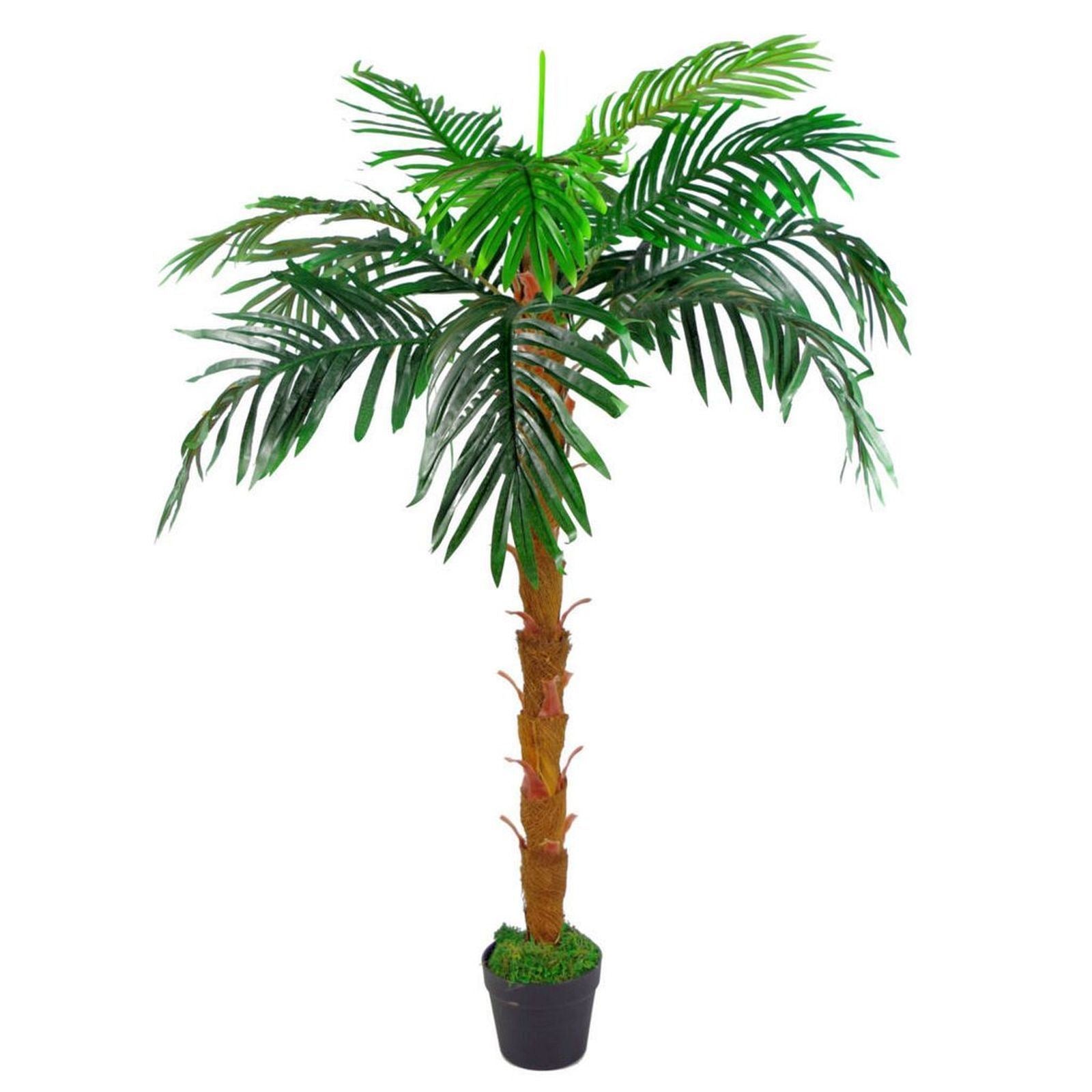 Leaf 130cm Realistic Artificial Palm Tree in Moss Pot