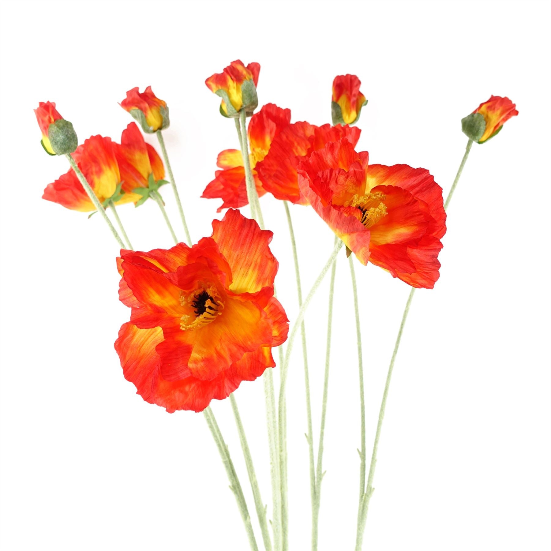 Leaf Pack of 6 Artificial Poppy Stems, 100cm, 2 Flowers Each