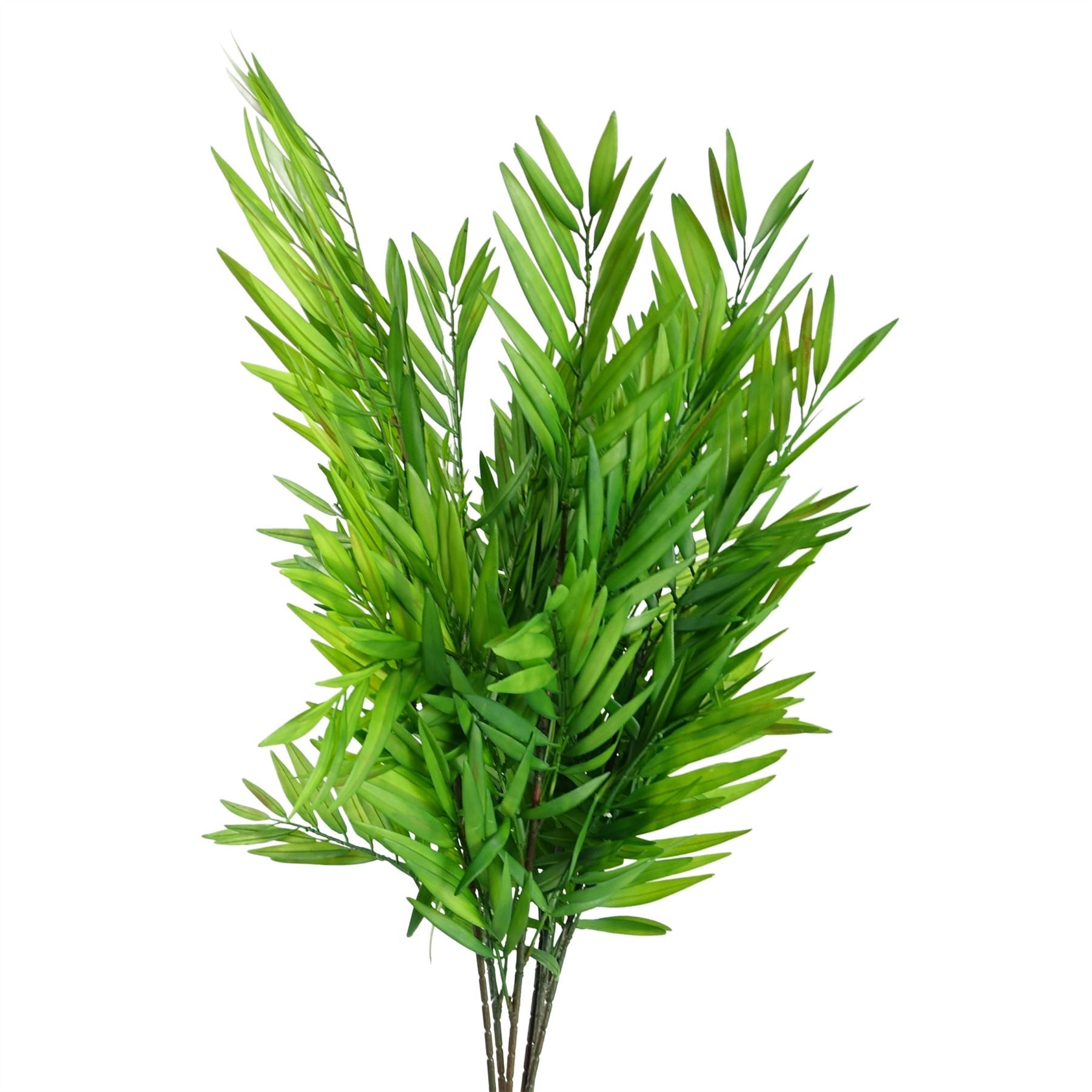 Leaf Pack of 6 Bamboo Fern Stems 85cm