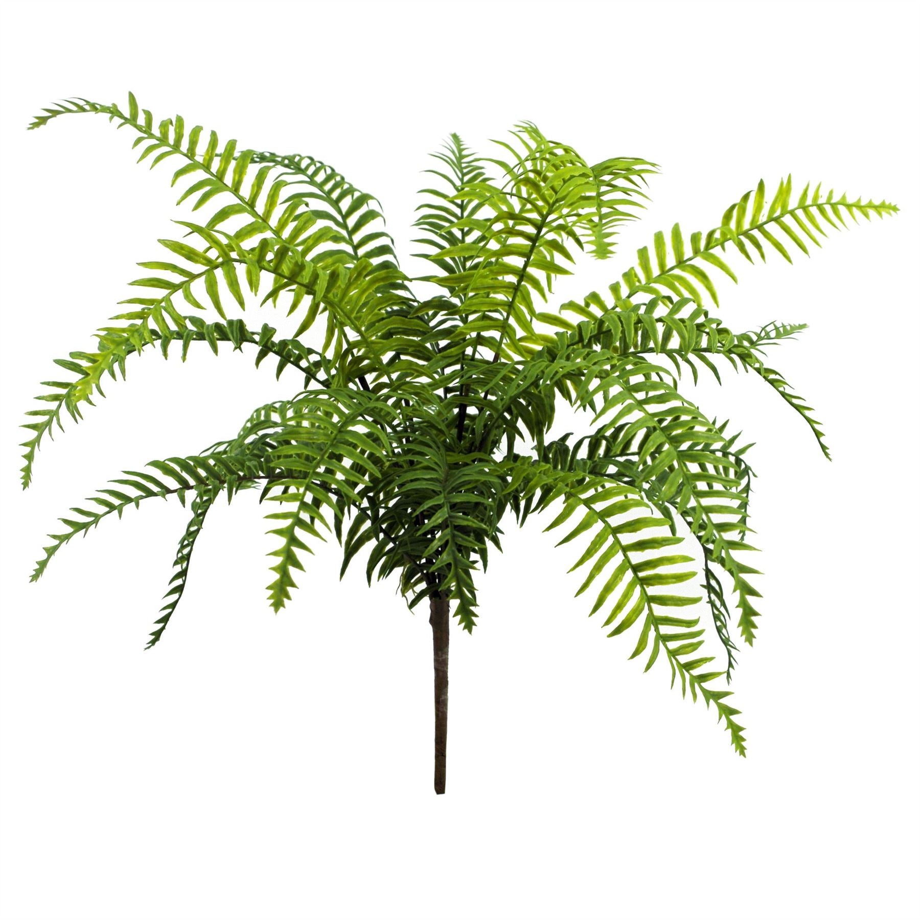 Leaf 50cm Artificial Boston Fronded Fern Plant, Bare Stem, Unpotted