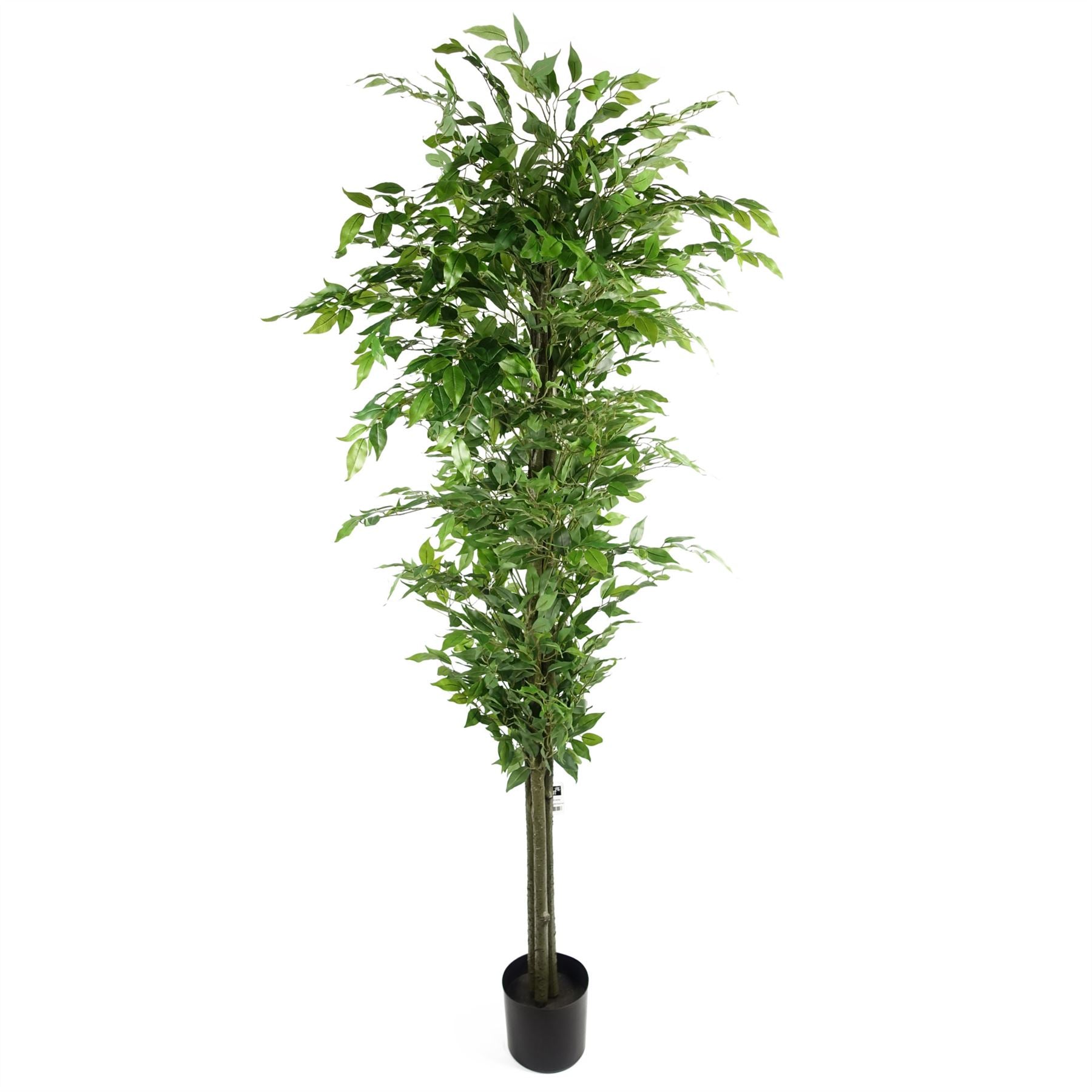 Leaf 180cm Realistic Artificial Green Ficus Tree in Black Plastic Pot