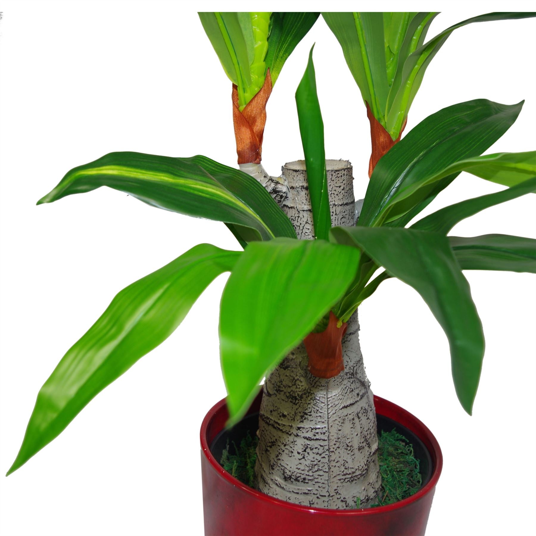 Leaf Design UK 75cm Artificial Dracaena Plant in Weighted Pot