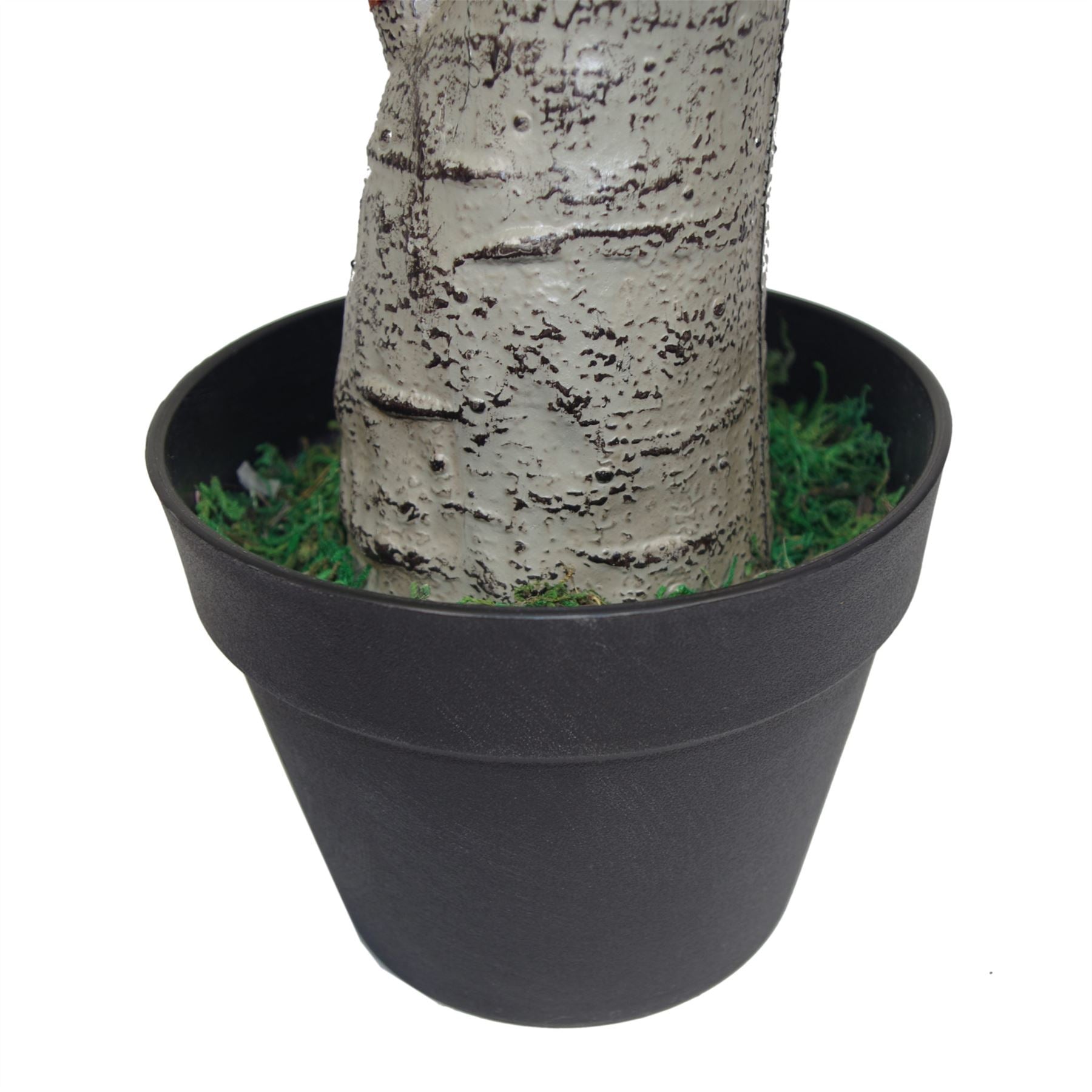 Leaf Design UK 75cm Artificial Dracaena Plant in Weighted Pot
