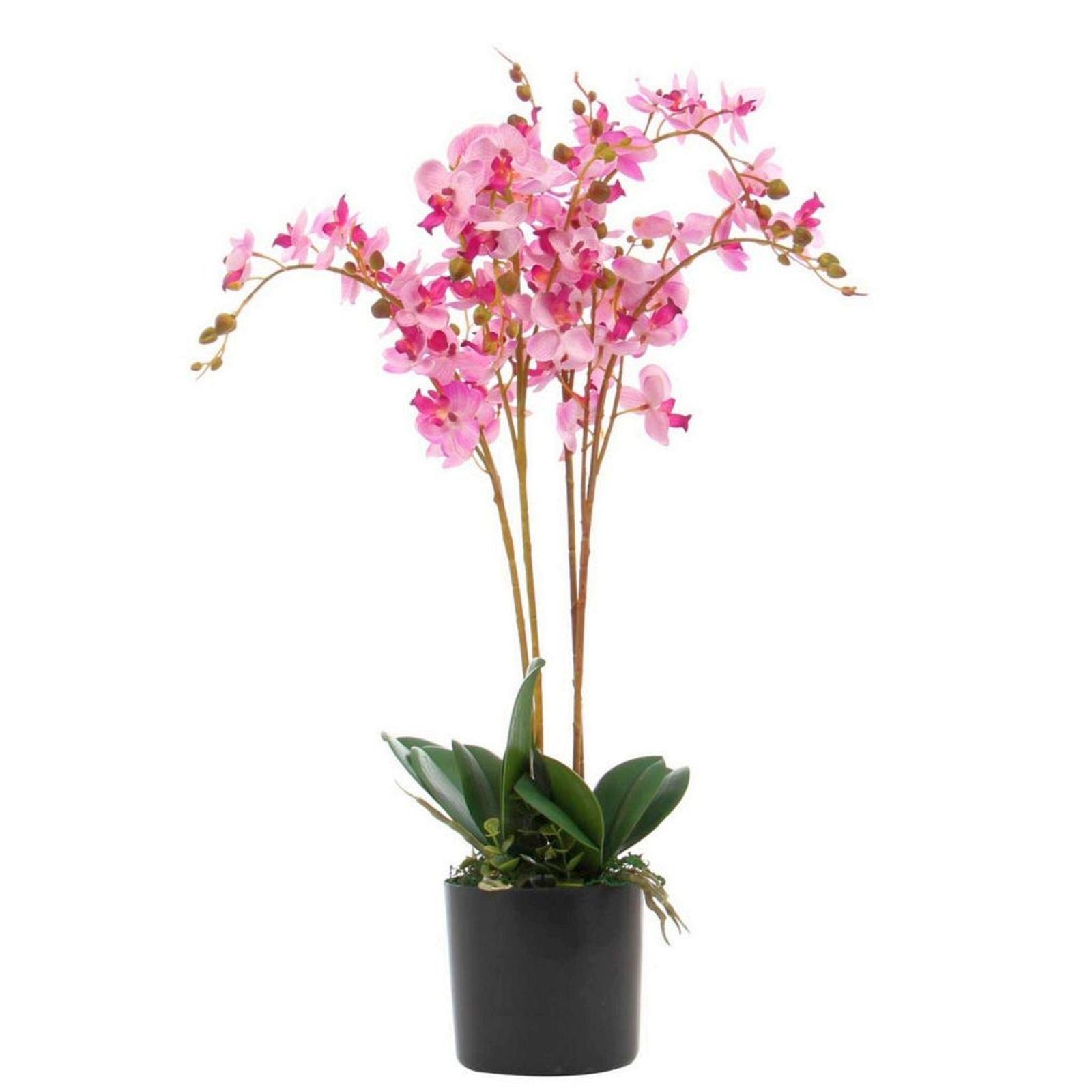 Leaf Design UK 60cm Realistic Artificial Phalaenopsis Orchid in Pot