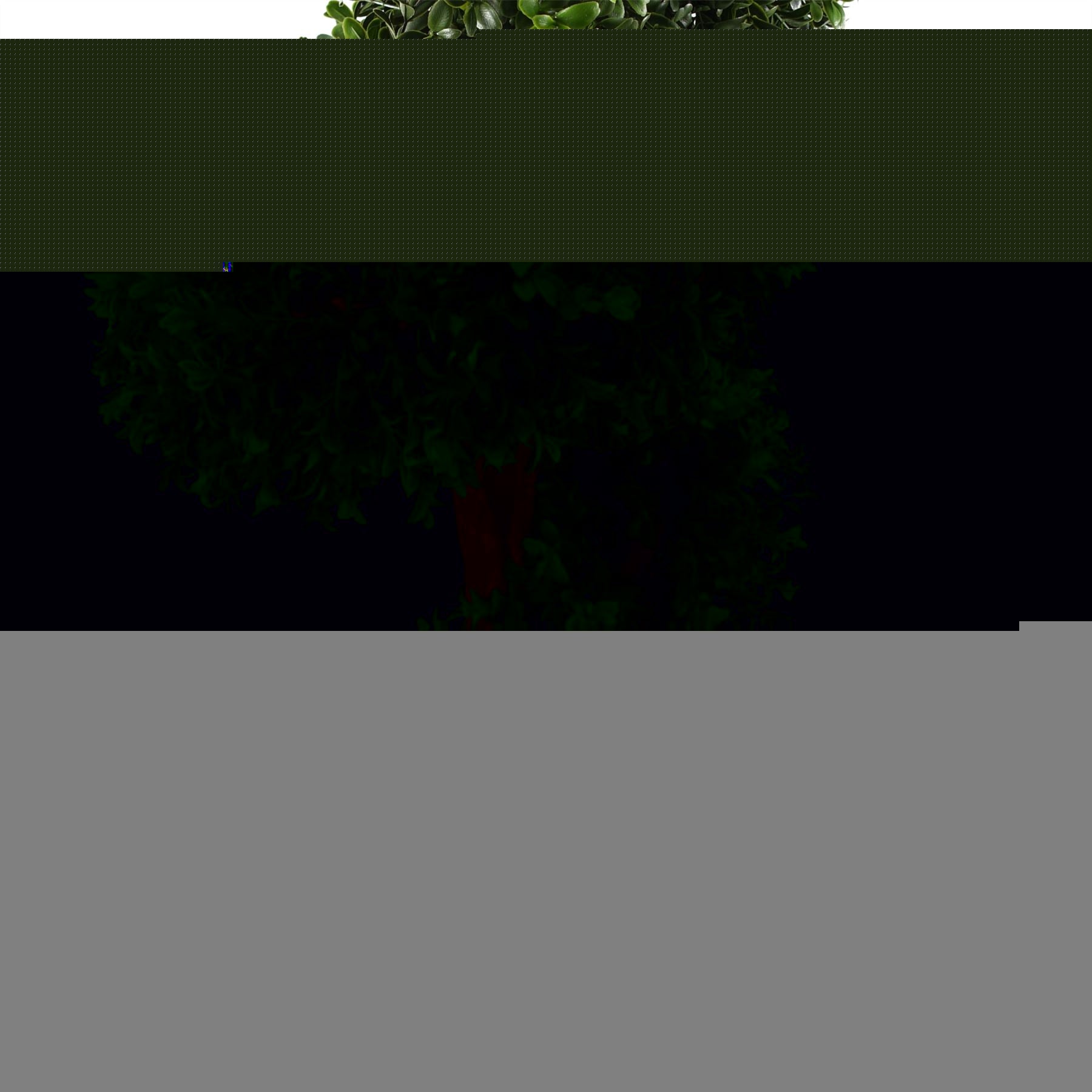 Leaf 120cm Pair of Spiral Buxus Artificial Trees UV Resistant Outdoor Topiary