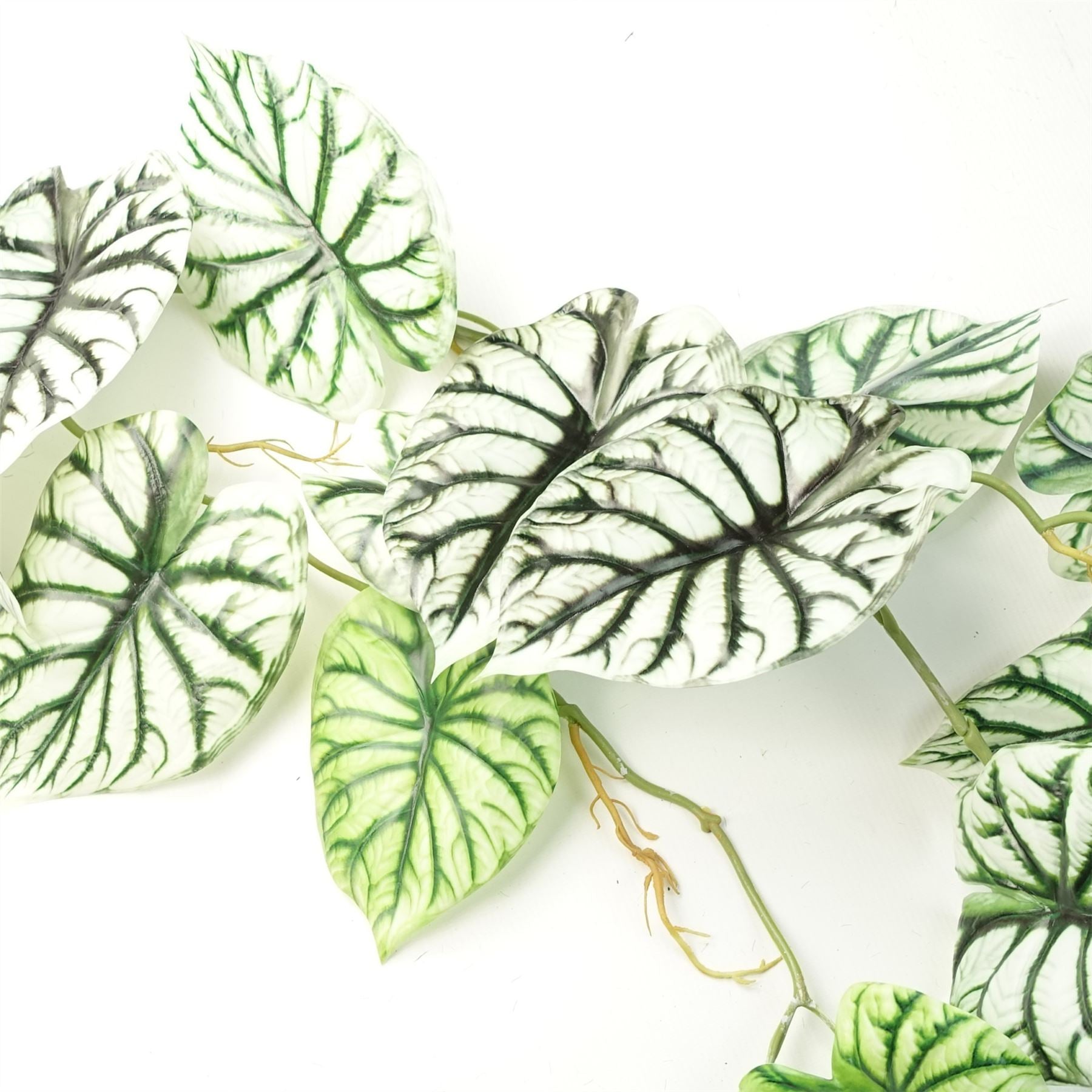Pack of 6 Realistic Artificial Alocasia Dragon Scale Hanging Trailing Plants 120cm