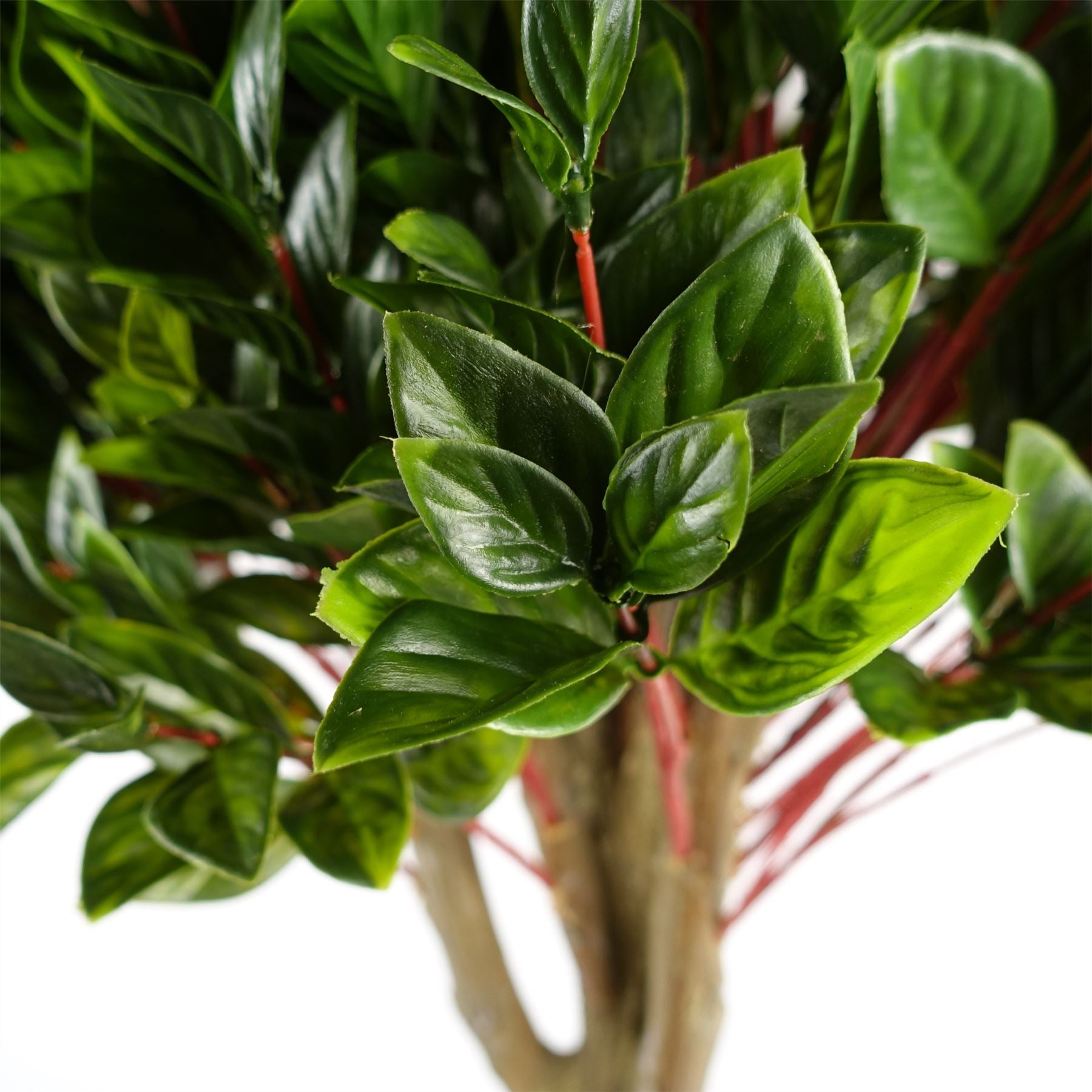 Pair of 90cm UV Resistant Artificial Gloxinia Ball Topiary Trees with 1608 Leaves and Natural Trunk for Outdoor Use