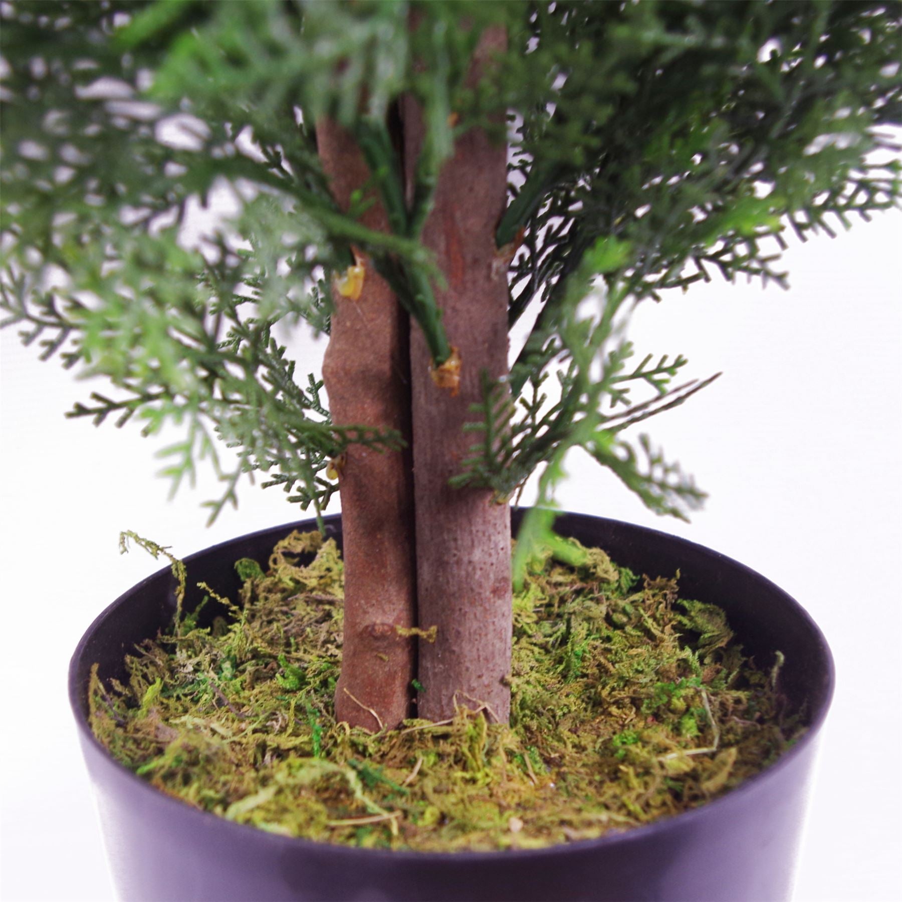 120cm Pair of Artificial Cedar Topiary Trees, Potted, Suitable for Indoor and Outdoor Use