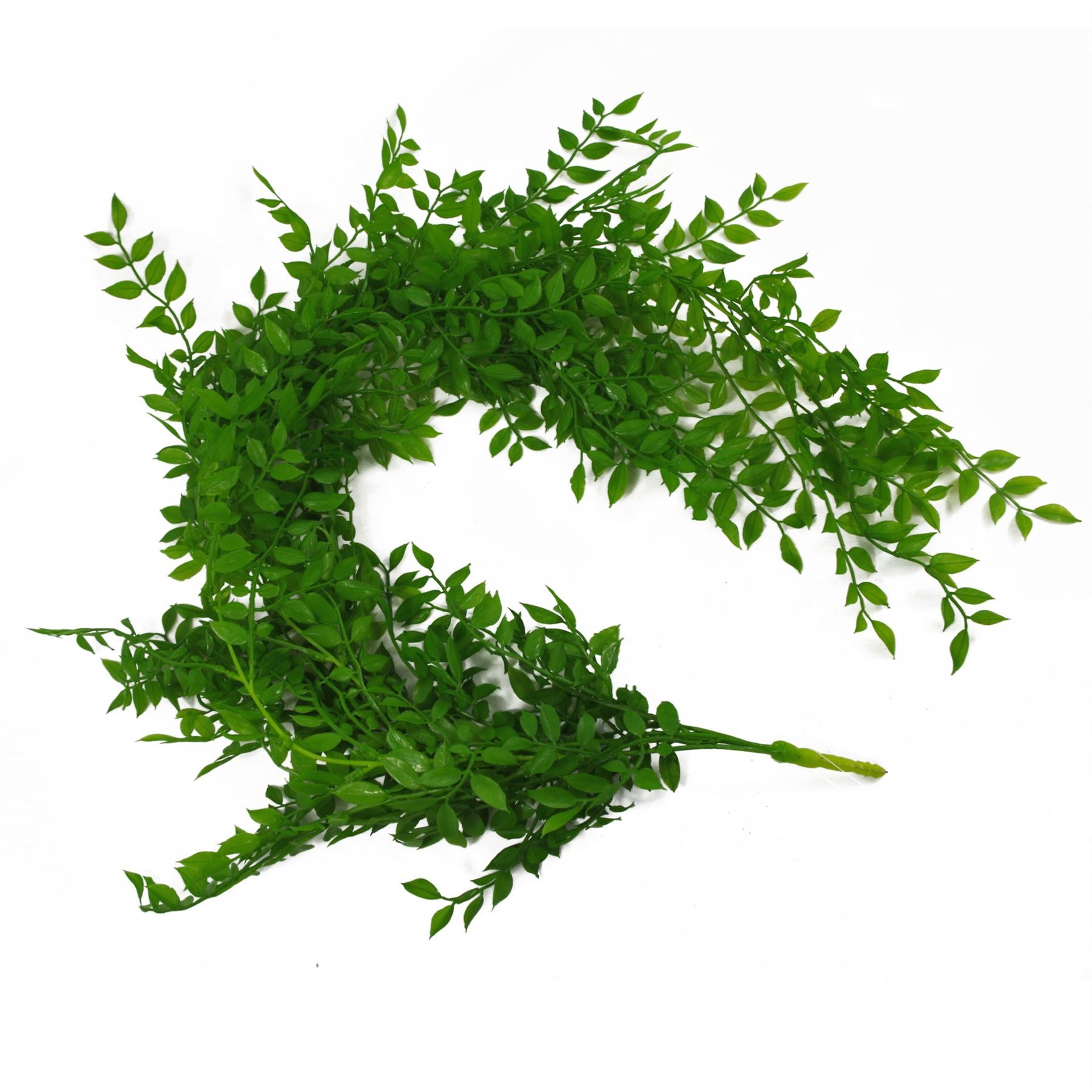 Leaf Artificial Hanging String of Pearls Fern Plant Light Green 100cm