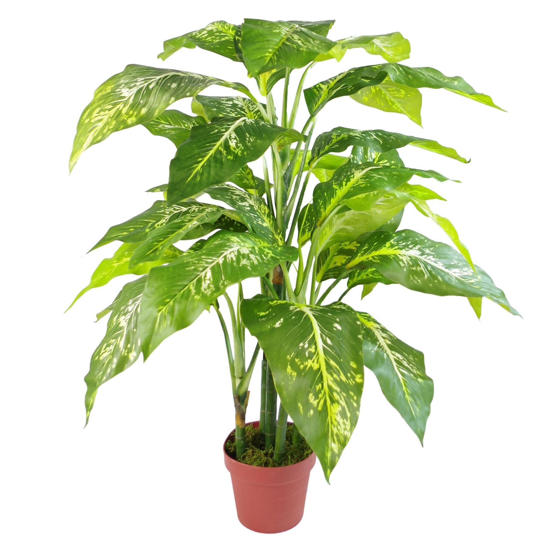 100cm Fox's Aglaonema Spotted Evergreen Artificial Tree with Gold Metal Planter