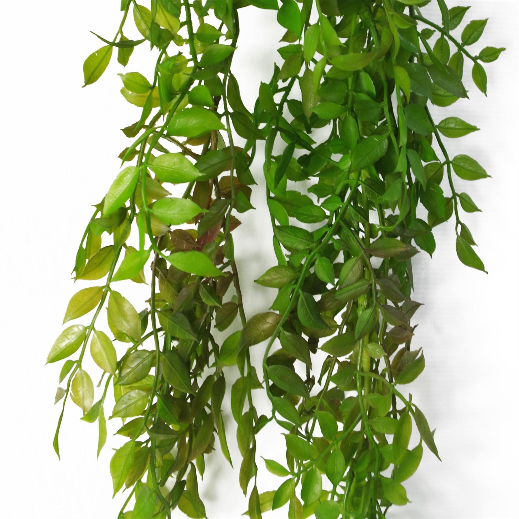 Leaf Artificial Hanging String of Pearls Fern Plant Dark Green 100cm Pack of 6 Unpotted Bare Stem