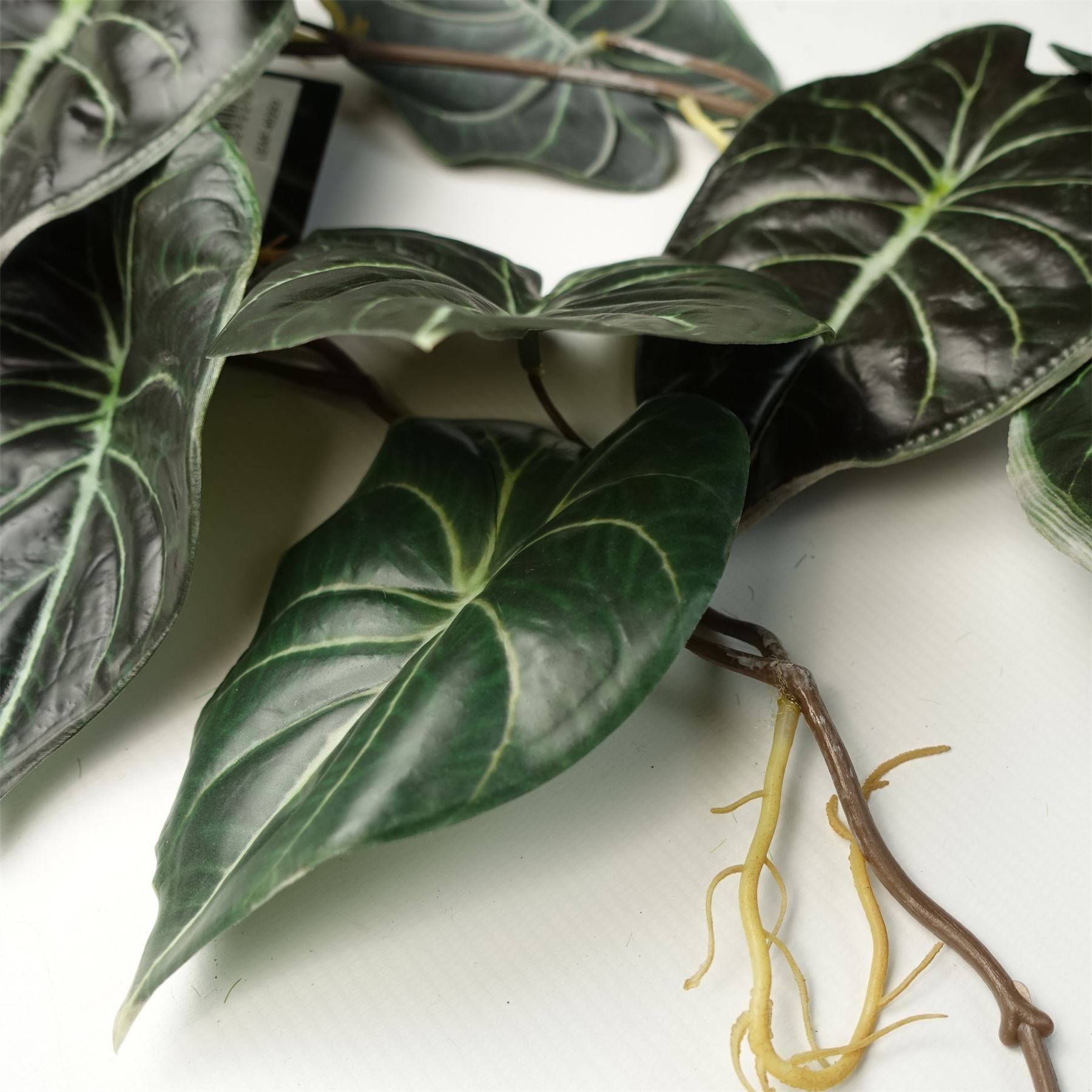 Leaf Pack of 6 Artificial Alocasia Dragon Scale Dark Trailing Plants 120cm