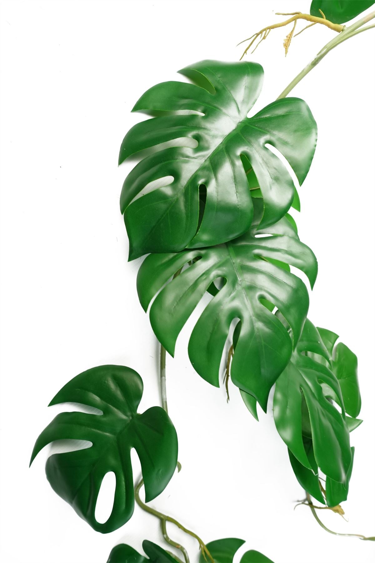 Leaf Pack of 6 Artificial Hanging Trailing Monstera Cheese Plants, 100cm