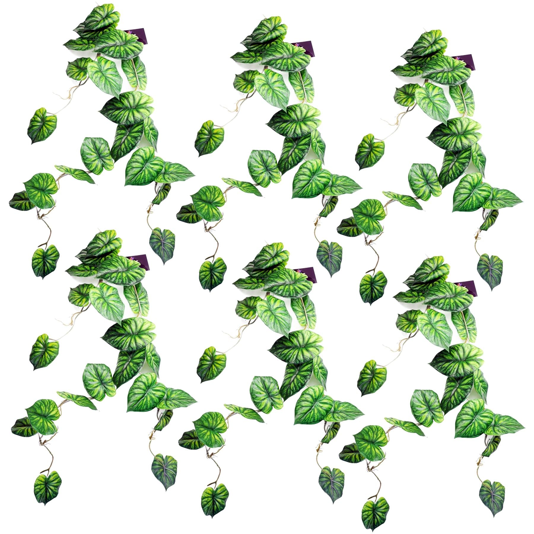 Leaf Pack of 6 Artificial Alocasia Dragon Scale Hanging Trailing Plant 120cm Green