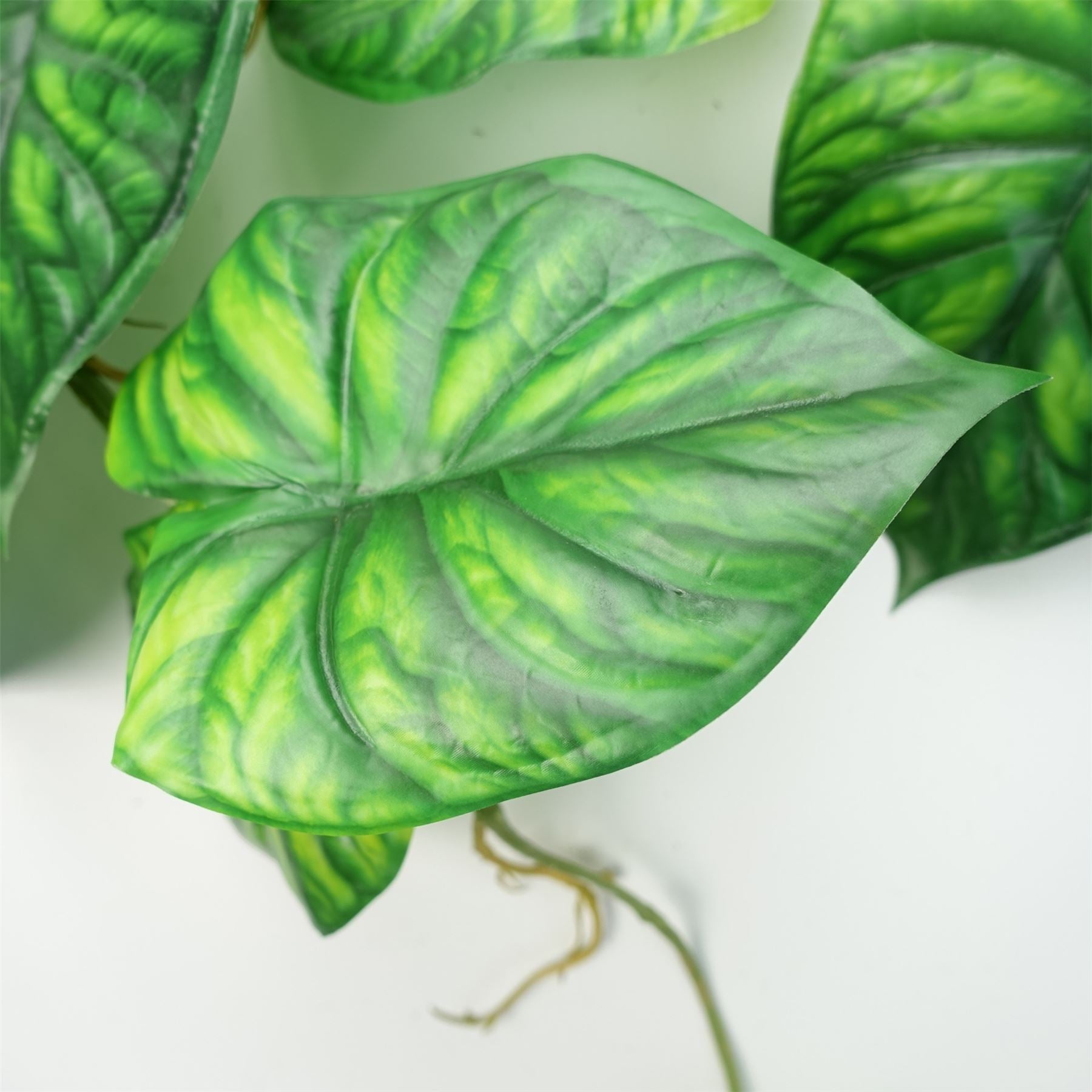 Leaf Pack of 6 Artificial Alocasia Dragon Scale Hanging Trailing Plant 120cm Green