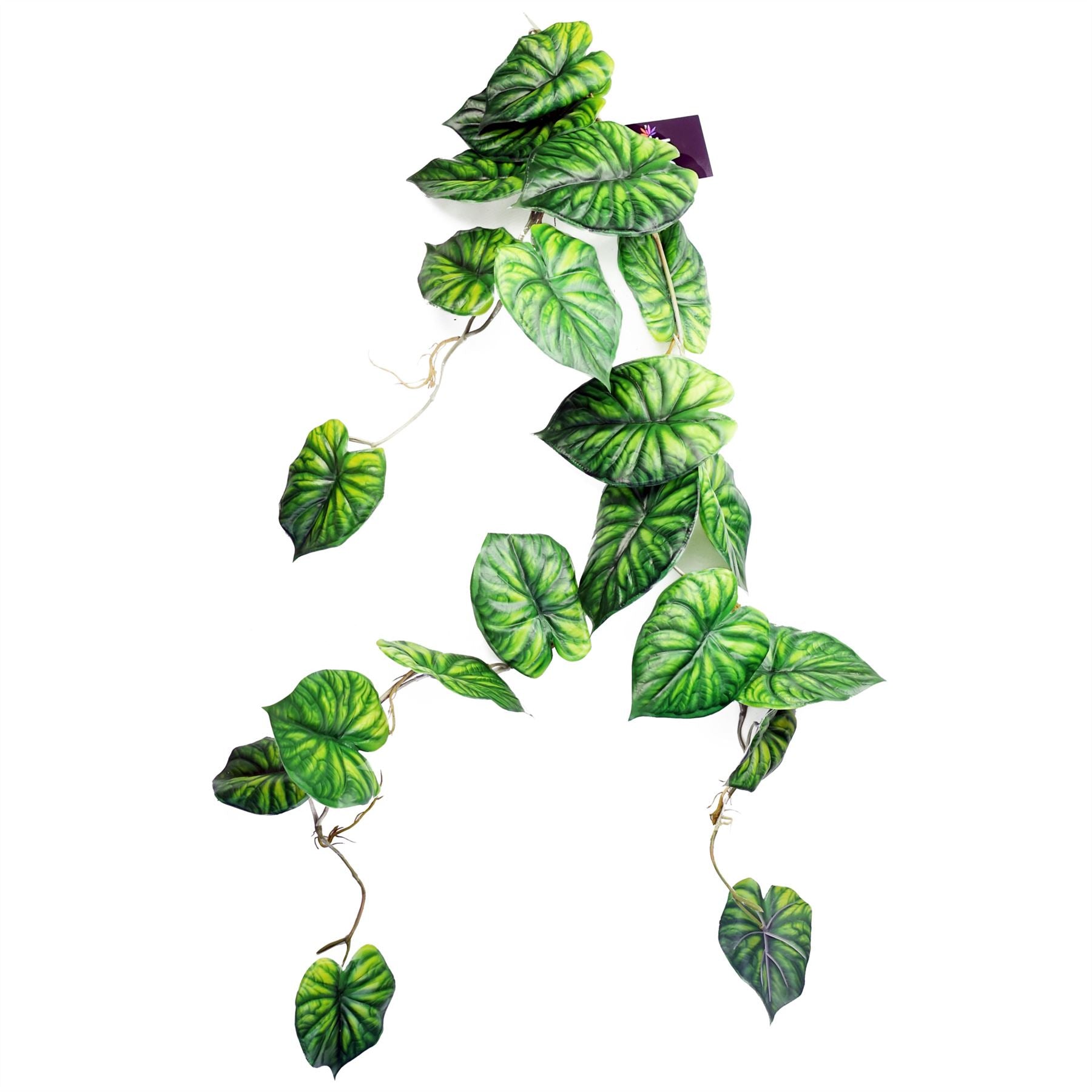 Leaf Pack of 6 Artificial Alocasia Dragon Scale Hanging Trailing Plant 120cm Green