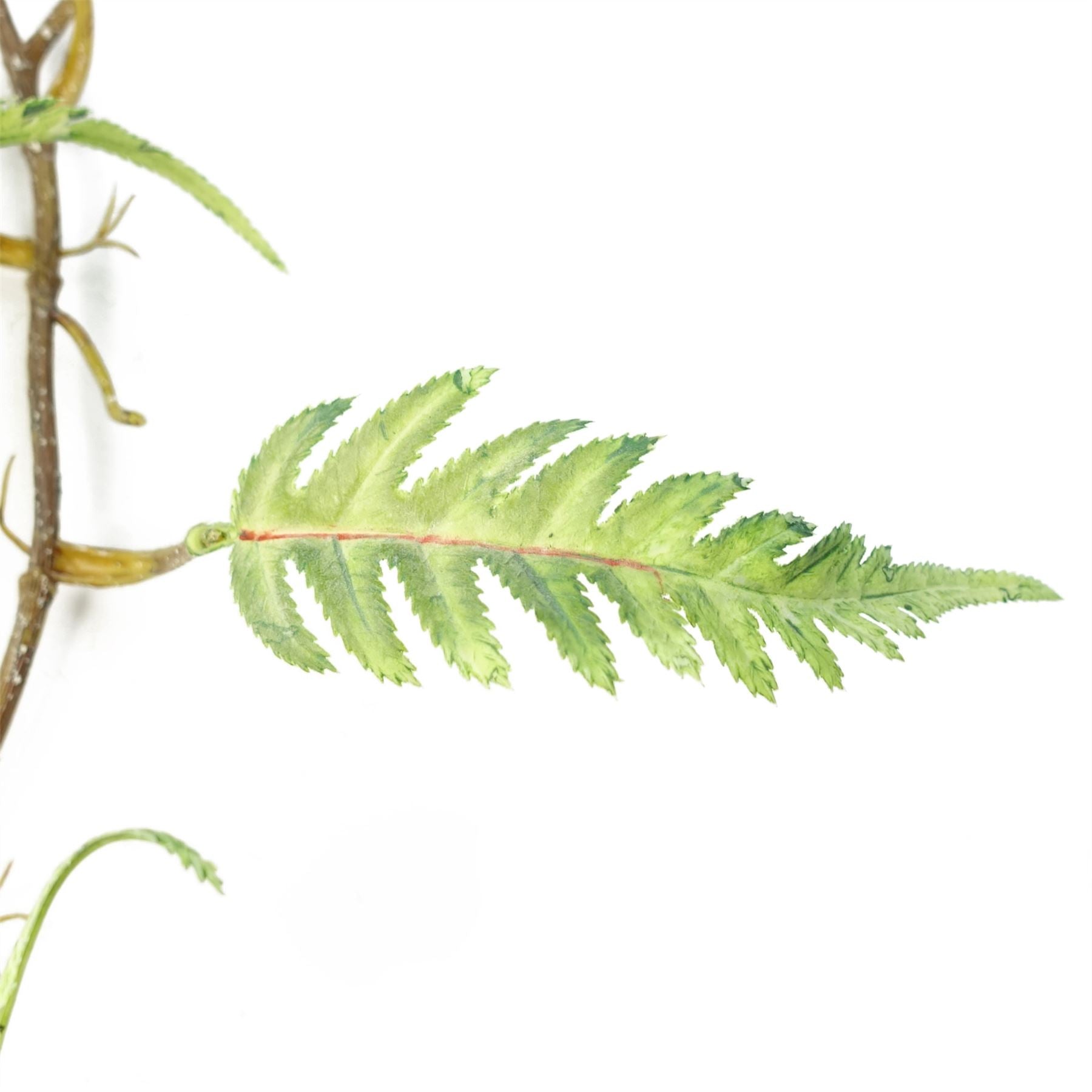 Leaf Pack of 6 Artificial Hanging Trailing Fern Plant, 125cm Long, Green, Large Leaf, Plastic Stems
