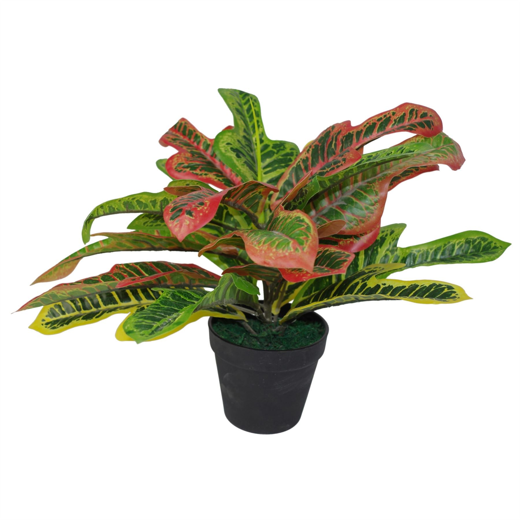 40cm Artificial Codiaeum Variegatum Multicoloured House Plant in Black Plastic Pot
