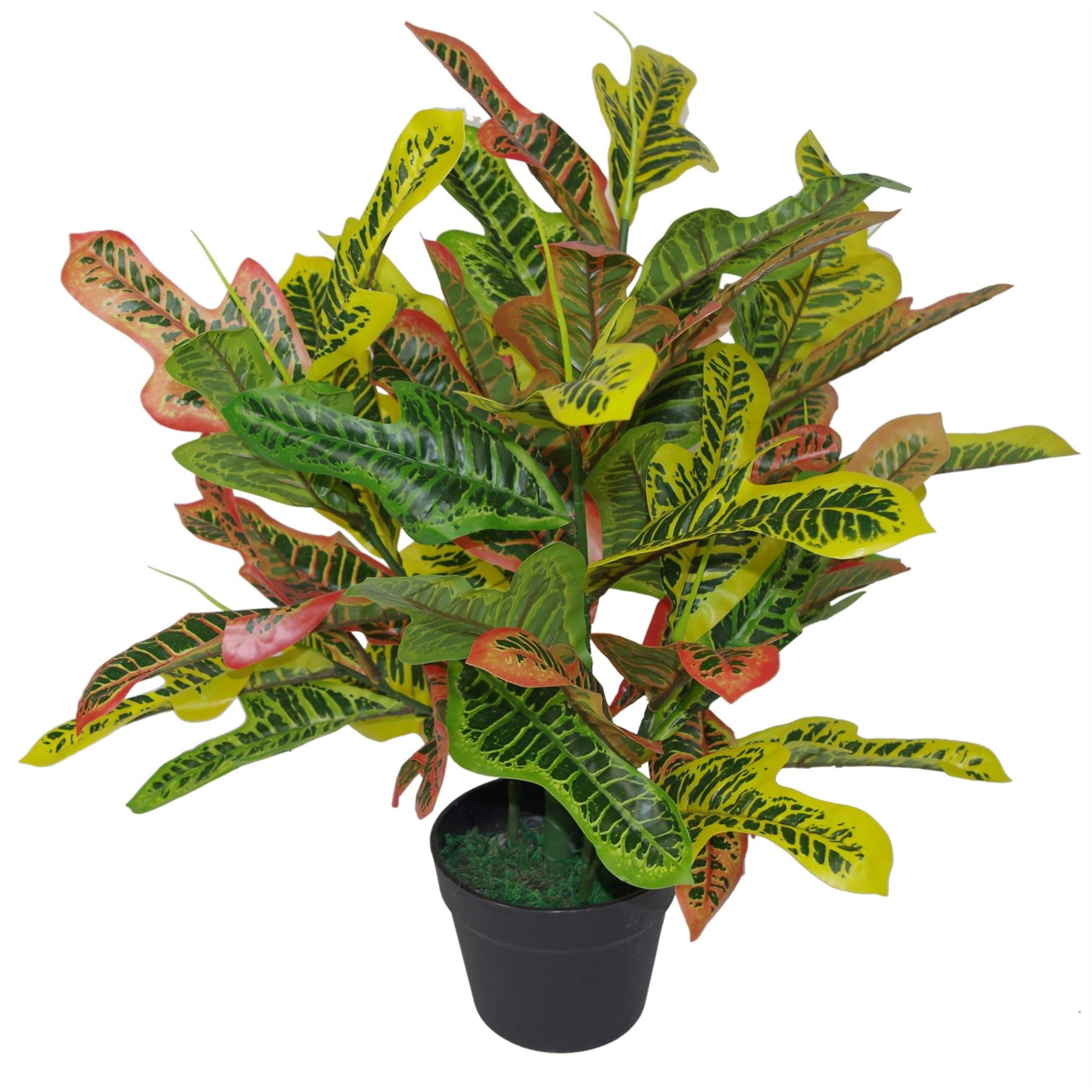 65cm Artificial Codiaeum Variegatum Variegated Croton Potted House Plant