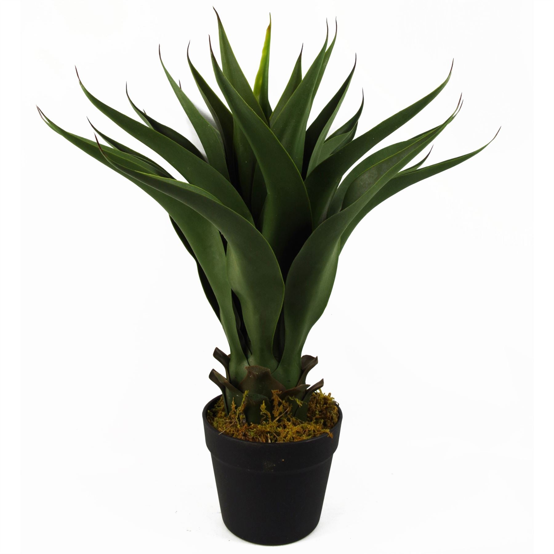 55cm Artificial Tropical Yucca Plant in Plain Plastic Pot, Fully Assembled by Leaf Design UK
