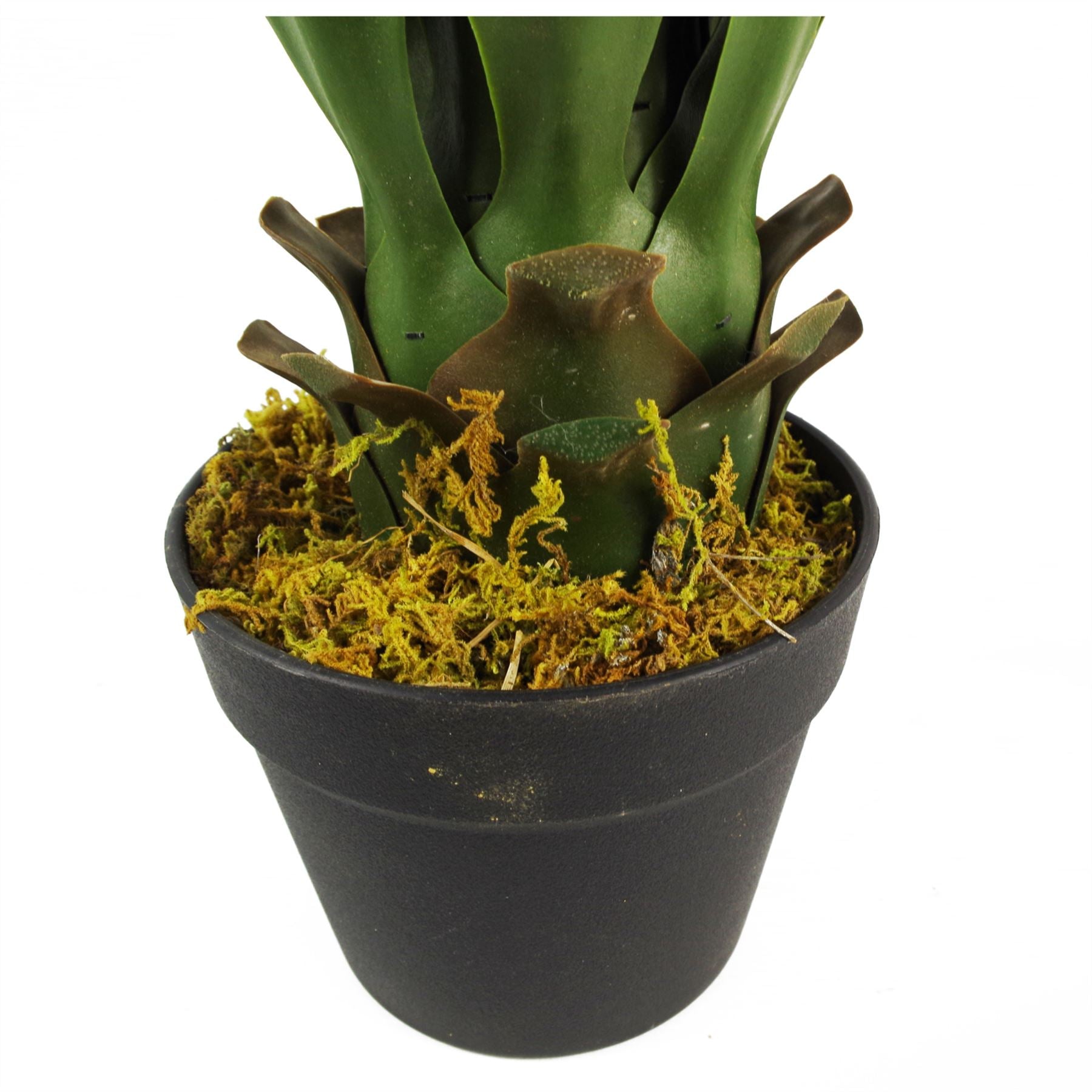 55cm Artificial Tropical Yucca Plant in Plain Plastic Pot, Fully Assembled by Leaf Design UK