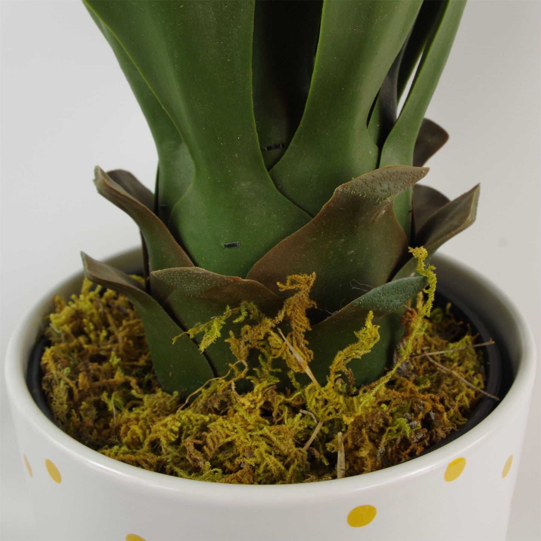 55cm Artificial Tropical Yucca Plant in Plain Plastic Pot, Fully Assembled by Leaf Design UK
