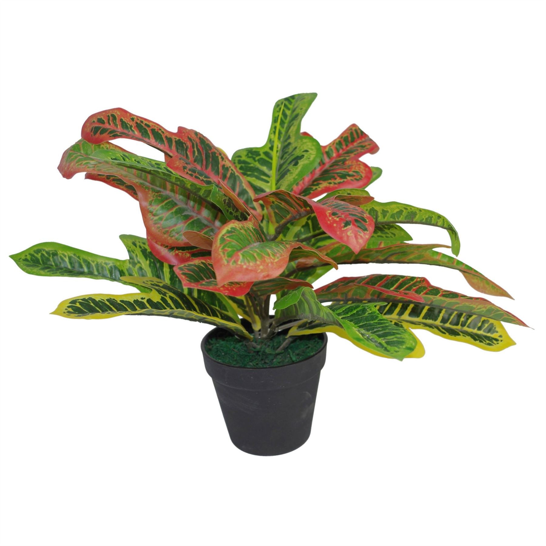 Leaf 40cm Artificial Croton Multicoloured House Plant in Weighted Plastic Pot