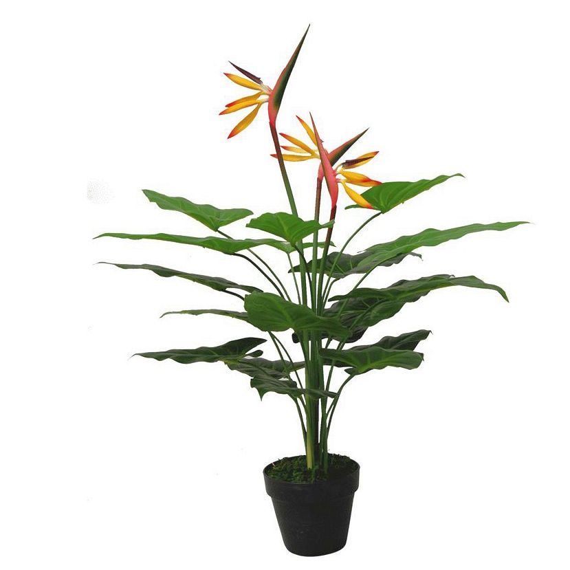 Leaf 70cm Artificial Bird of Paradise Plant (Strelitzia) in Plastic Weighted Pot