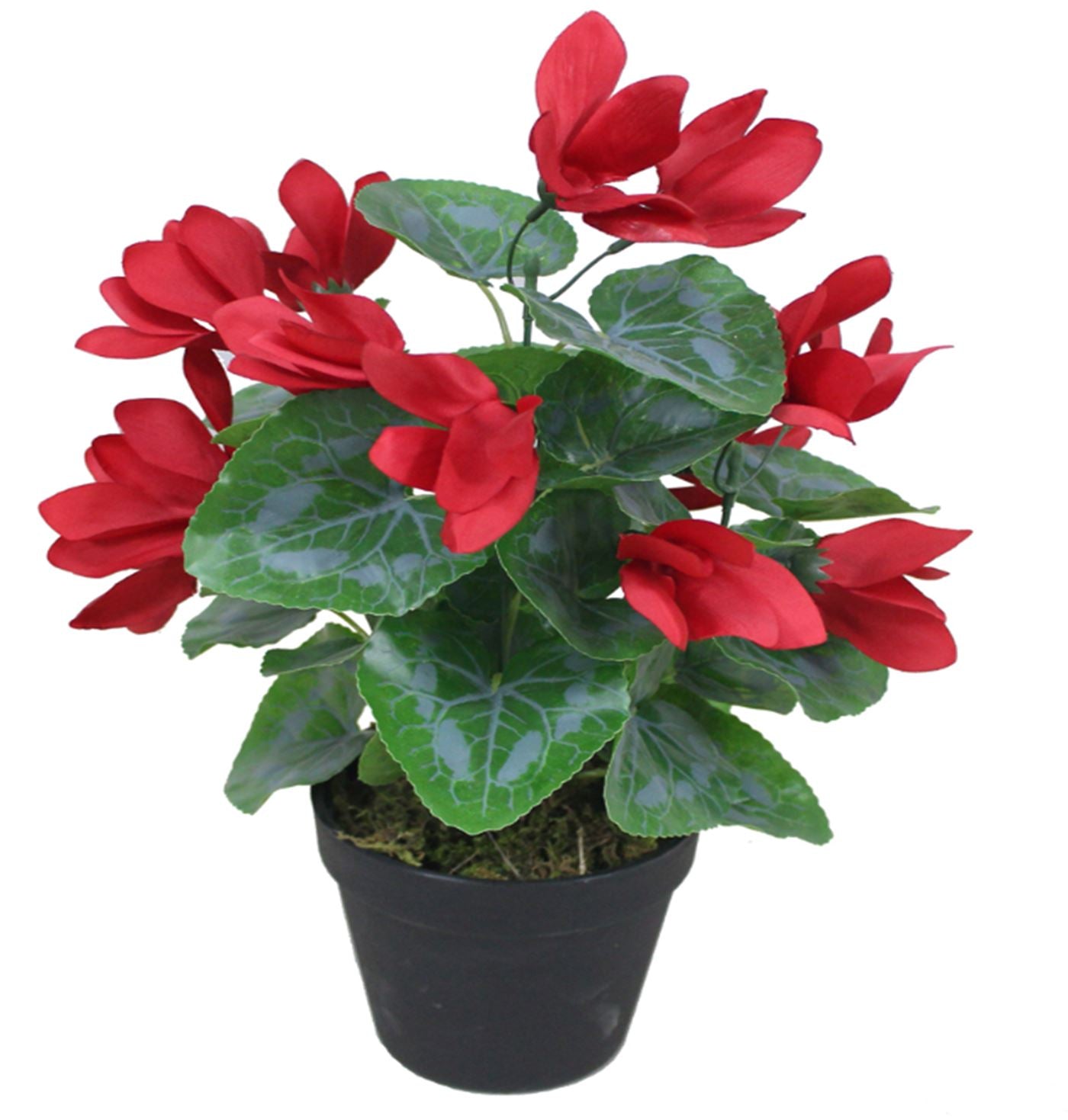 Leaf 38cm Artificial Cylamen Plant Red, Potted in Plastic Pot