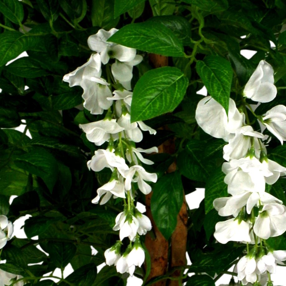 130cm Artificial White Wisteria Tree with Silk Flowers, Premium Range, Potted