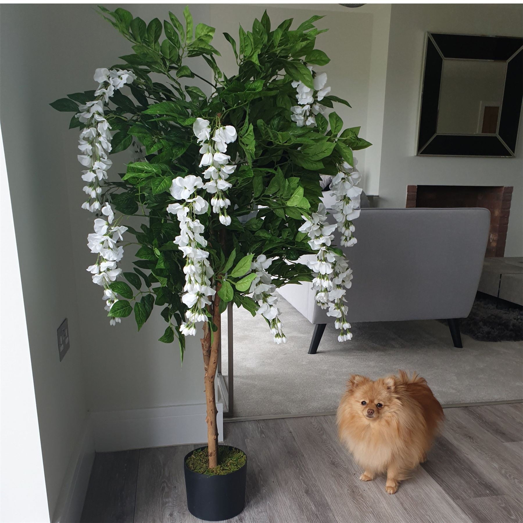 130cm Artificial White Wisteria Tree with Silk Flowers, Premium Range, Potted