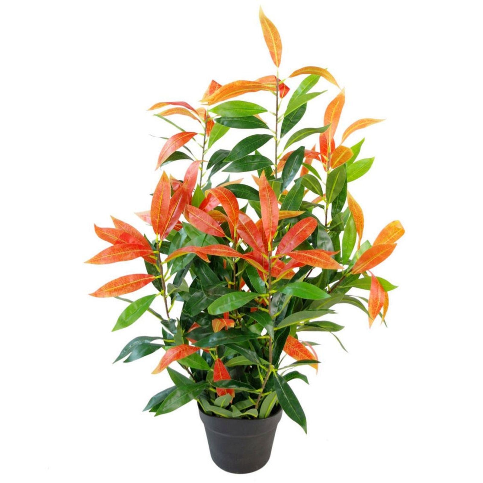 Leaf 80cm Realistic Red Robin Artificial Ficus Plant with Moss Covered Pot