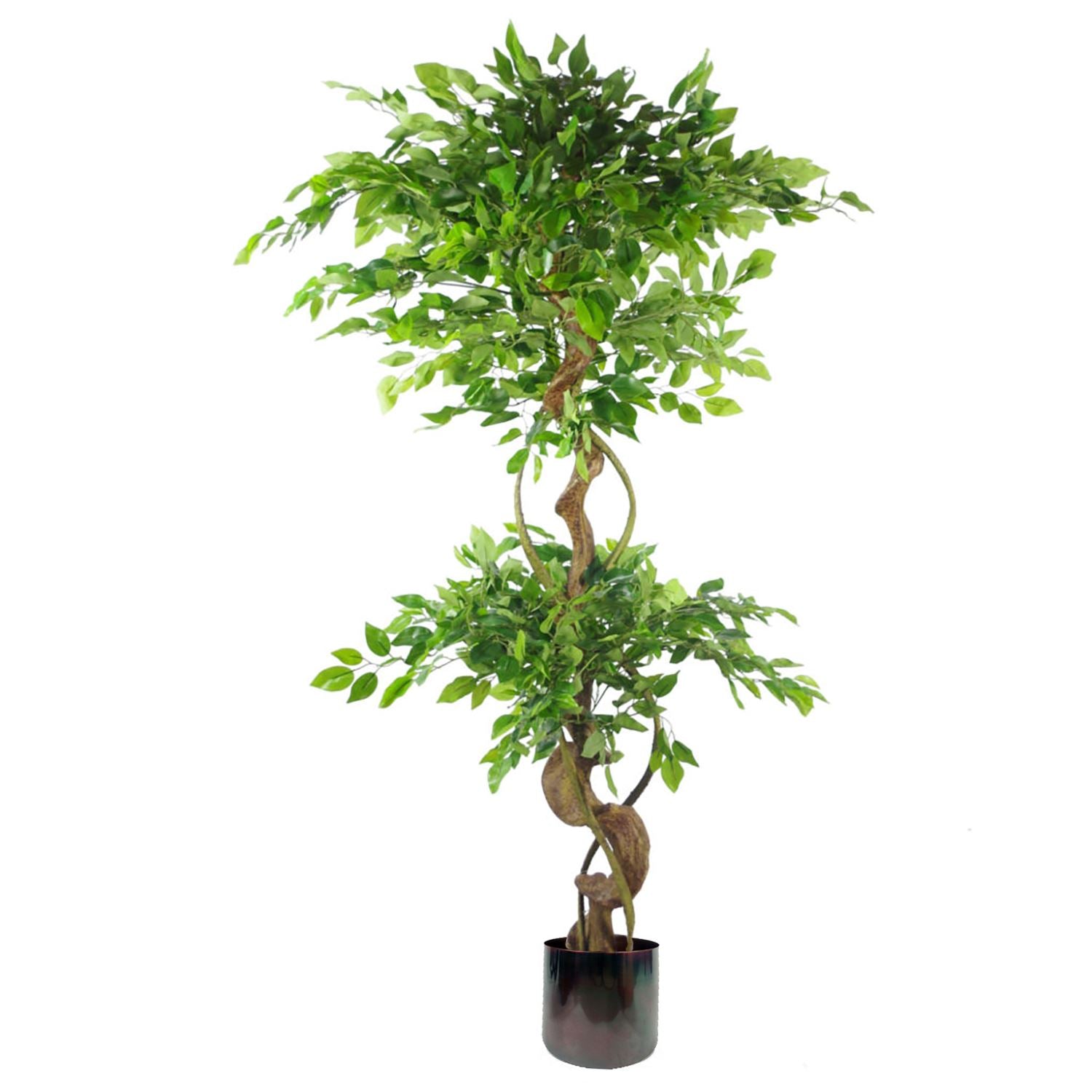 Leaf 150cm Artificial Twisted Trunk Japanese Fruticosa Ficus Tree with Metal Planter