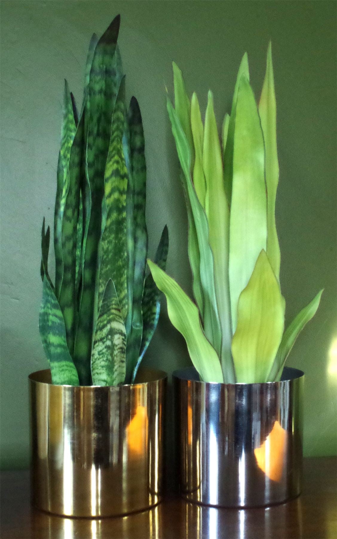 Leaf 70cm Artificial Sansevieria Zeylanica Plant in Black Pot