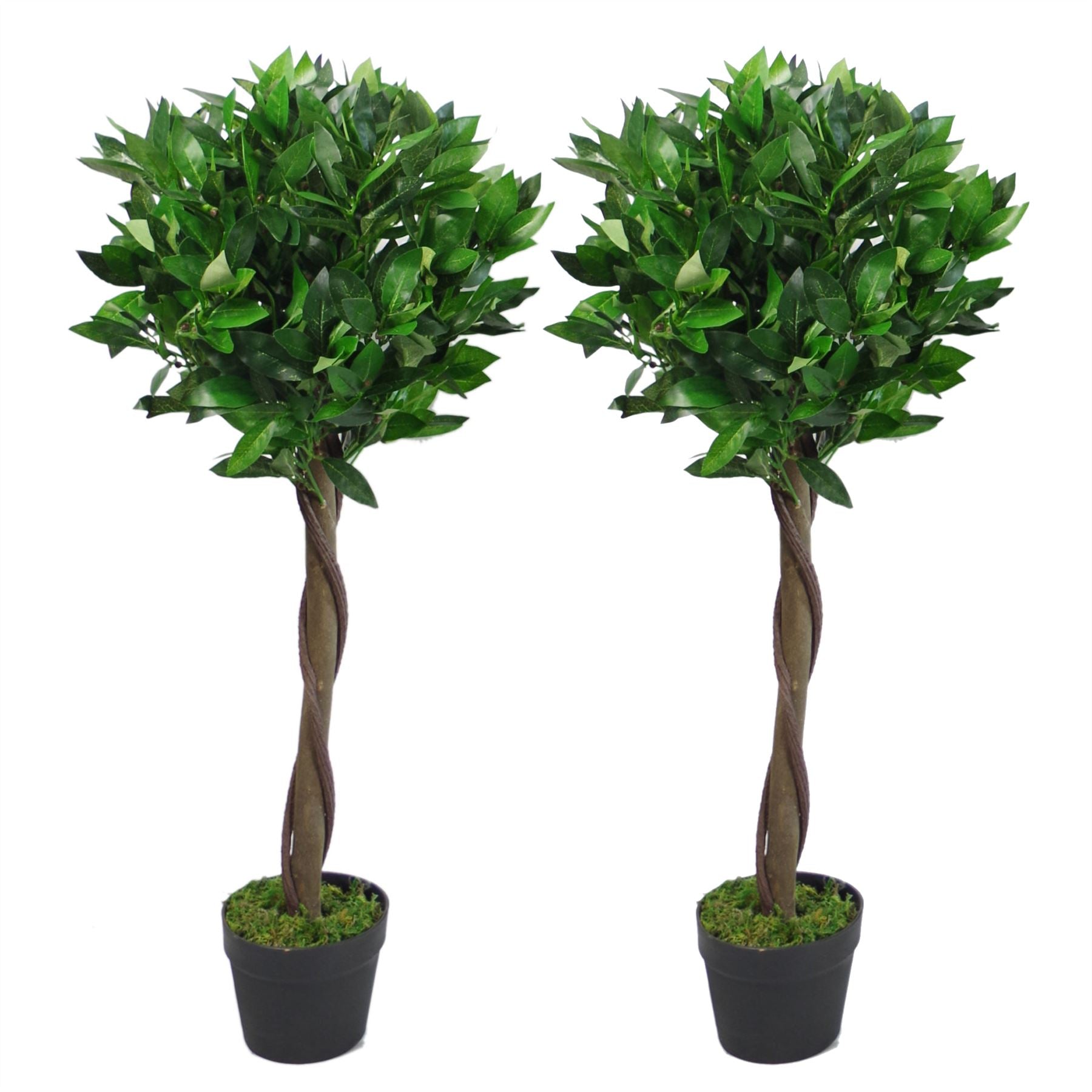 Pair of 90cm Artificial Bay Laurel Ball Trees with Plain Trunks