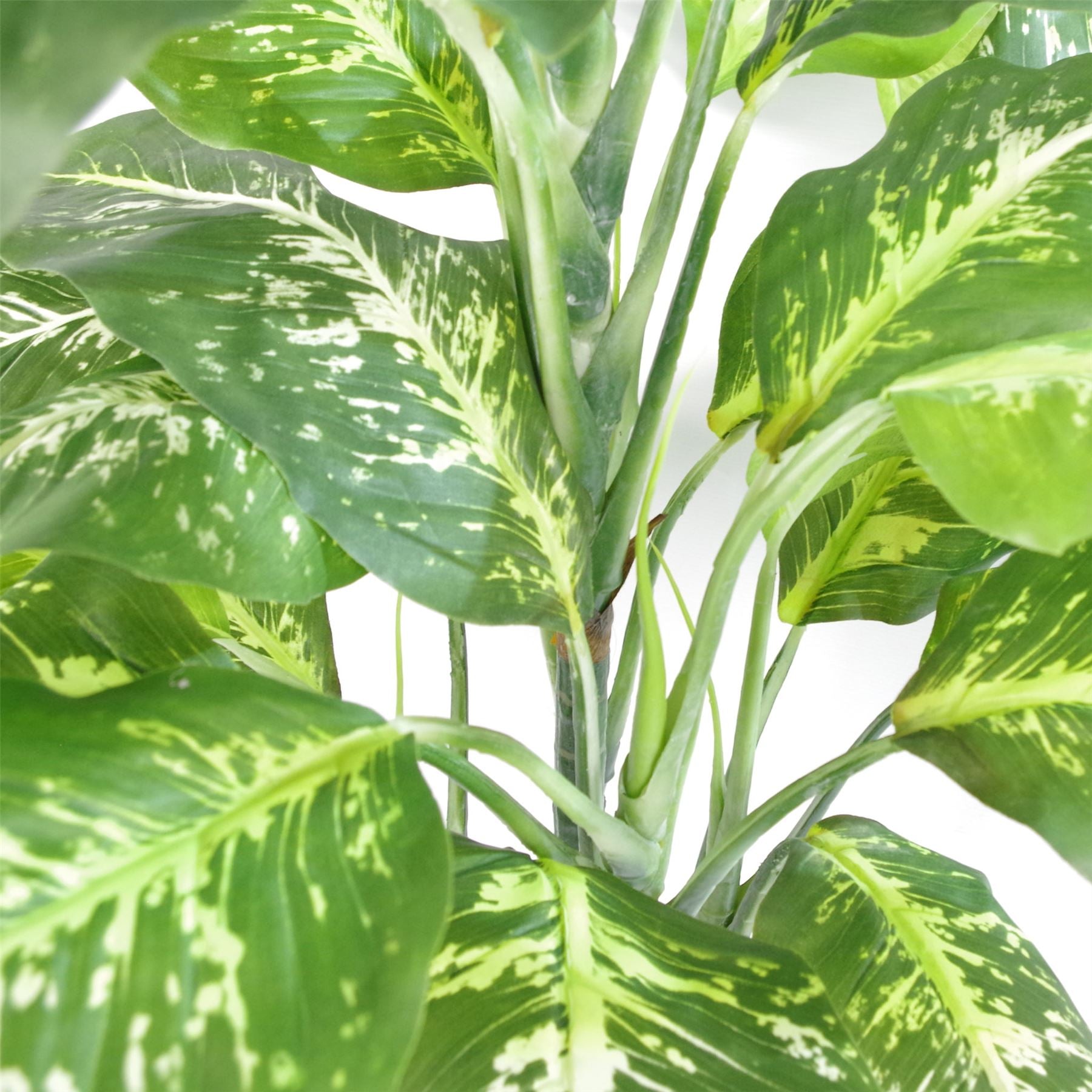 Leaf 100cm Large Fox's Aglaonema (Spotted Evergreen) Artificial Tree in Black Plastic Pot