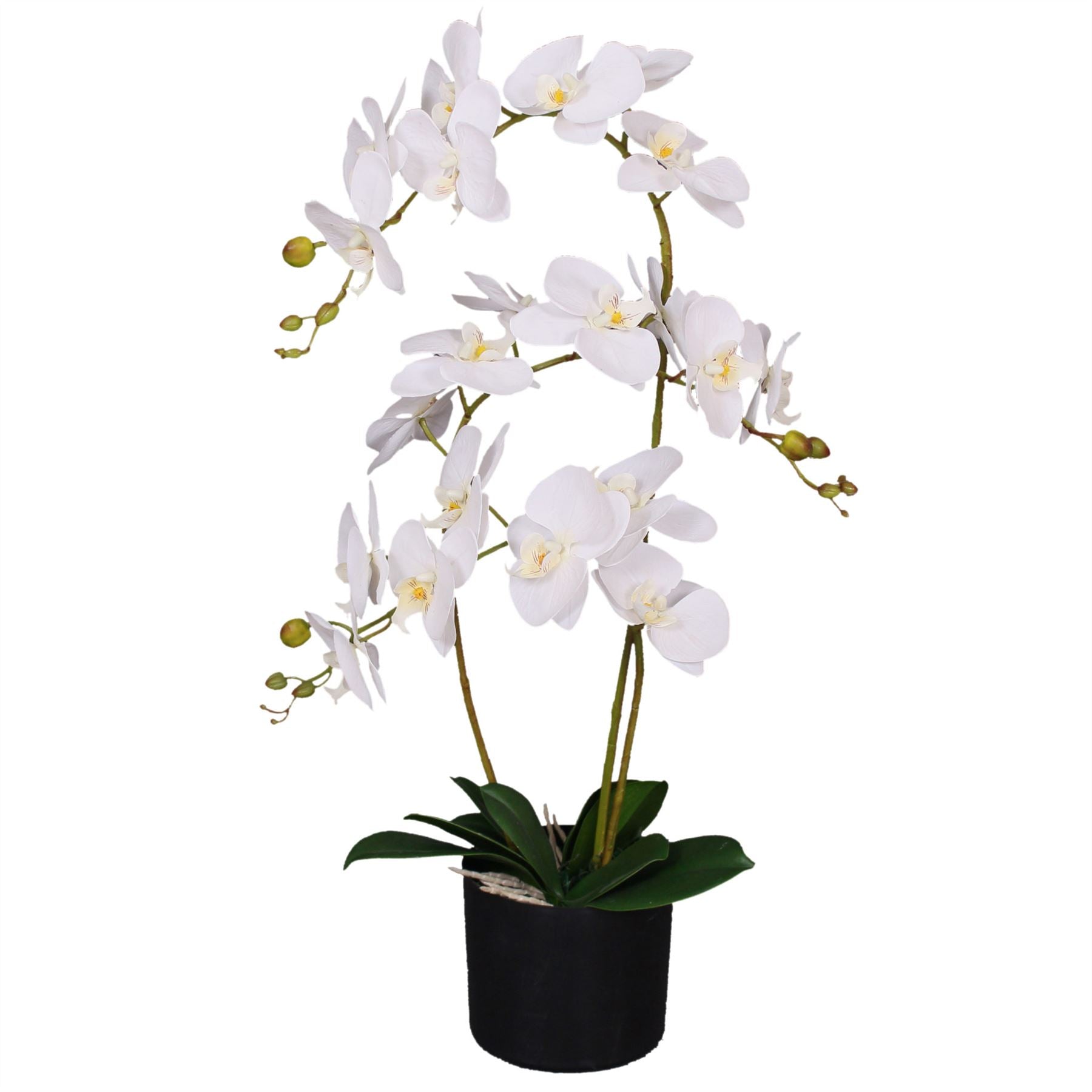 Leaf 65cm Artificial Soft White Phalaenopsis Orchid, 3 Stems, Potted Indoor Plant