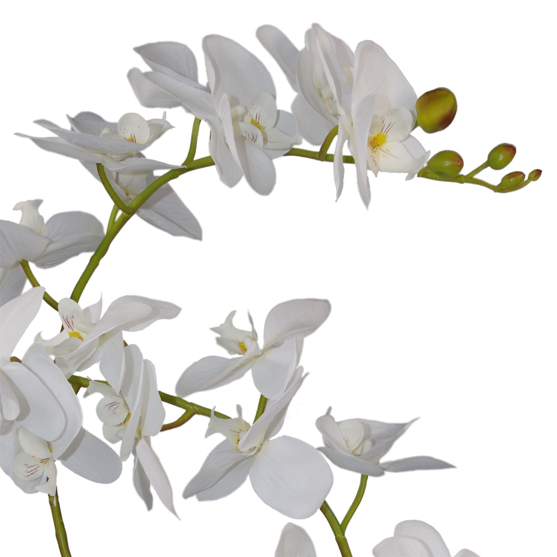 Leaf 65cm Artificial Soft White Phalaenopsis Orchid, 3 Stems, Potted Indoor Plant