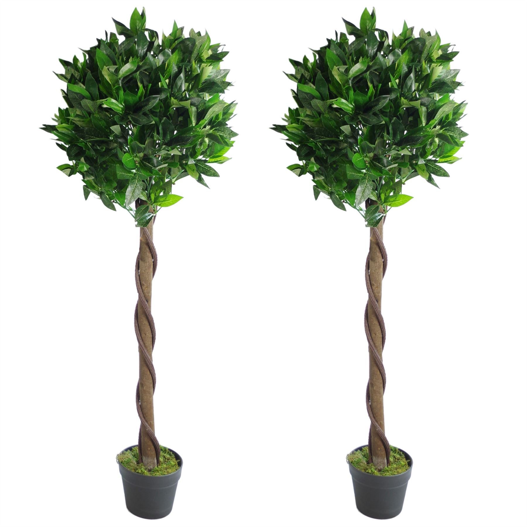 Pair of 120cm Artificial Twisted Stem Bay Laurel Ball Trees