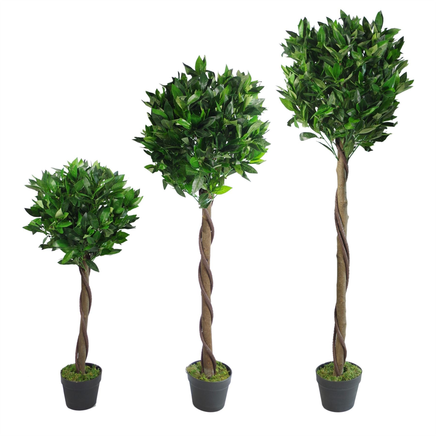 Pair of 120cm Artificial Twisted Stem Bay Laurel Ball Trees