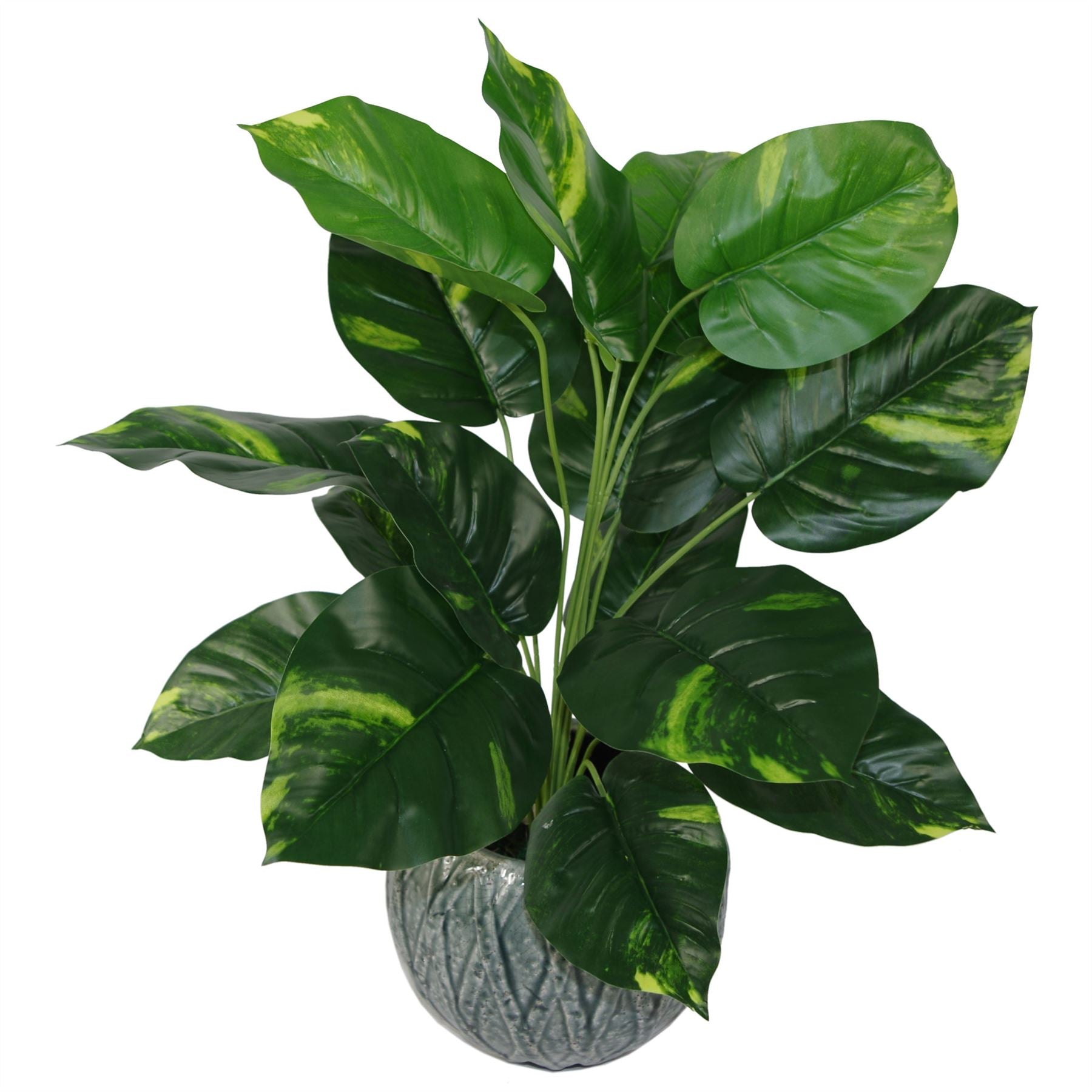 60cm Artificial Devil’s Ivy (Scindapsus Aureus) Ready Potted Houseplant with Variegated Leaves