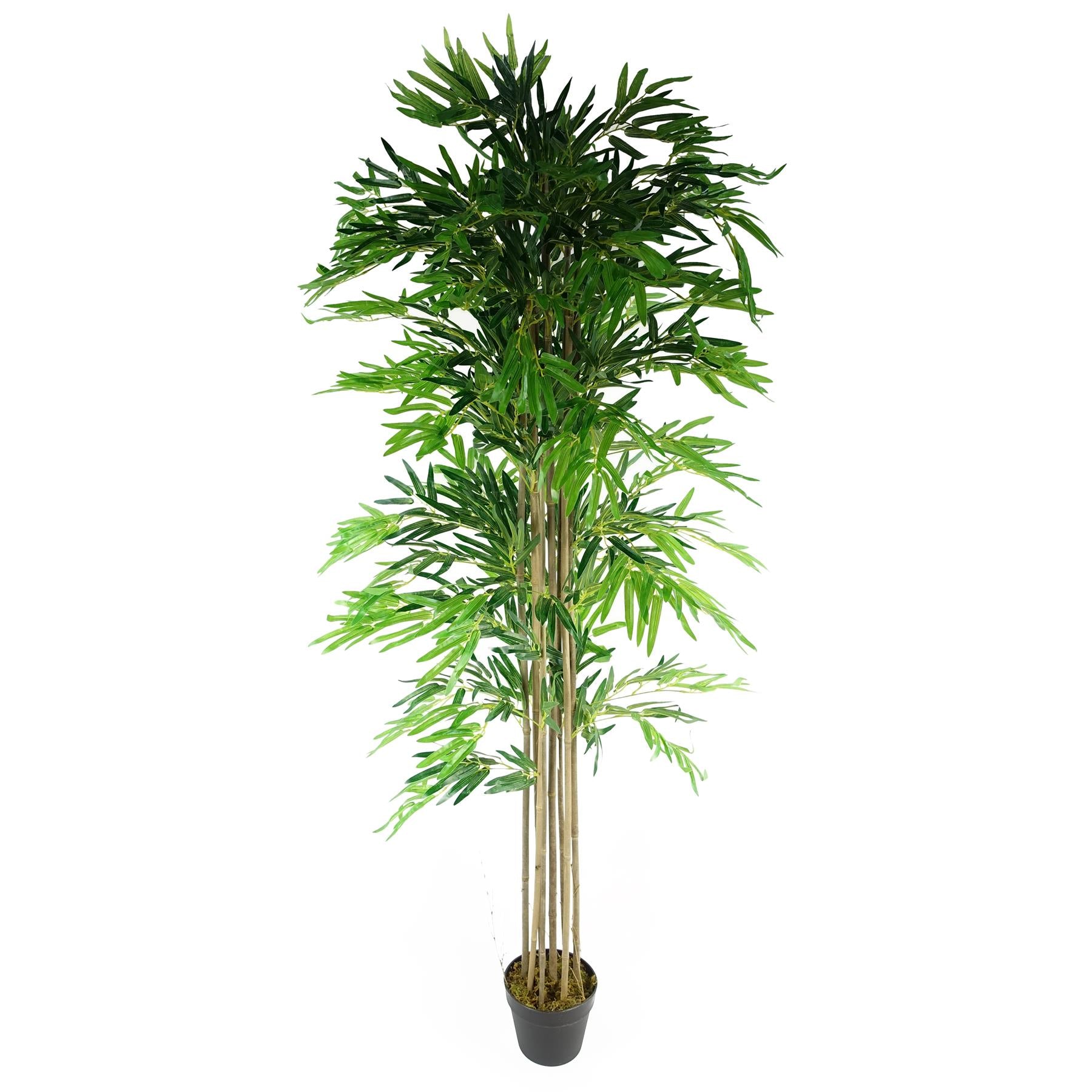Leaf 180cm (6ft) Artificial Bamboo Tree with Real Natural Bamboo Canes, Natural Green, Potted