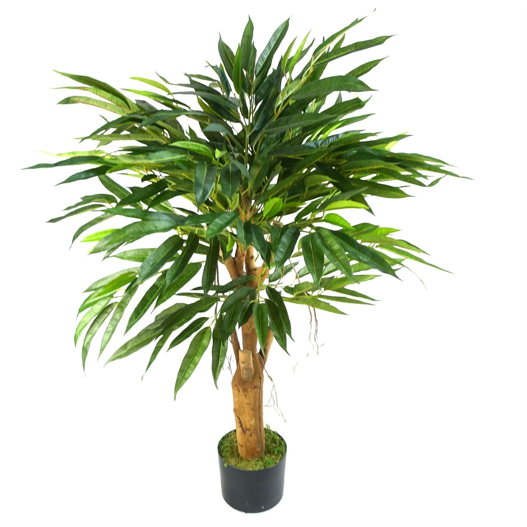 Leaf 100cm Realistic Artificial Longifolia Tree with Natural Trunk and Silk Leaves