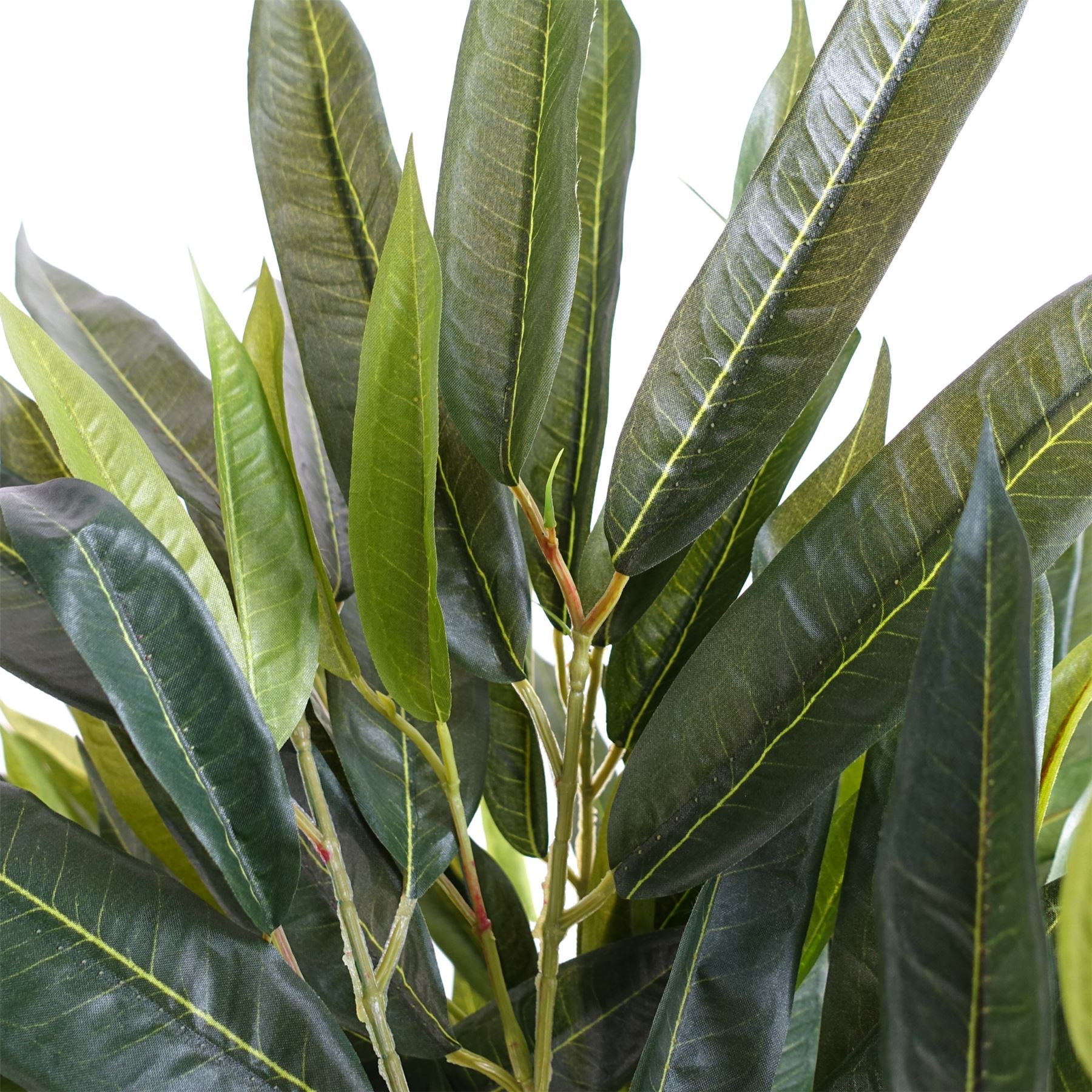 Leaf 100cm Realistic Artificial Longifolia Tree with Natural Trunk and Silk Leaves