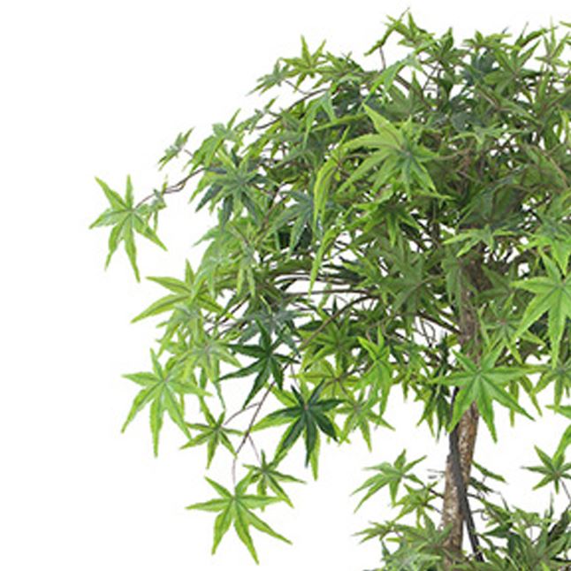 Leaf 150cm Artificial Japanese Maple Tree in Weighted Plastic Pot
