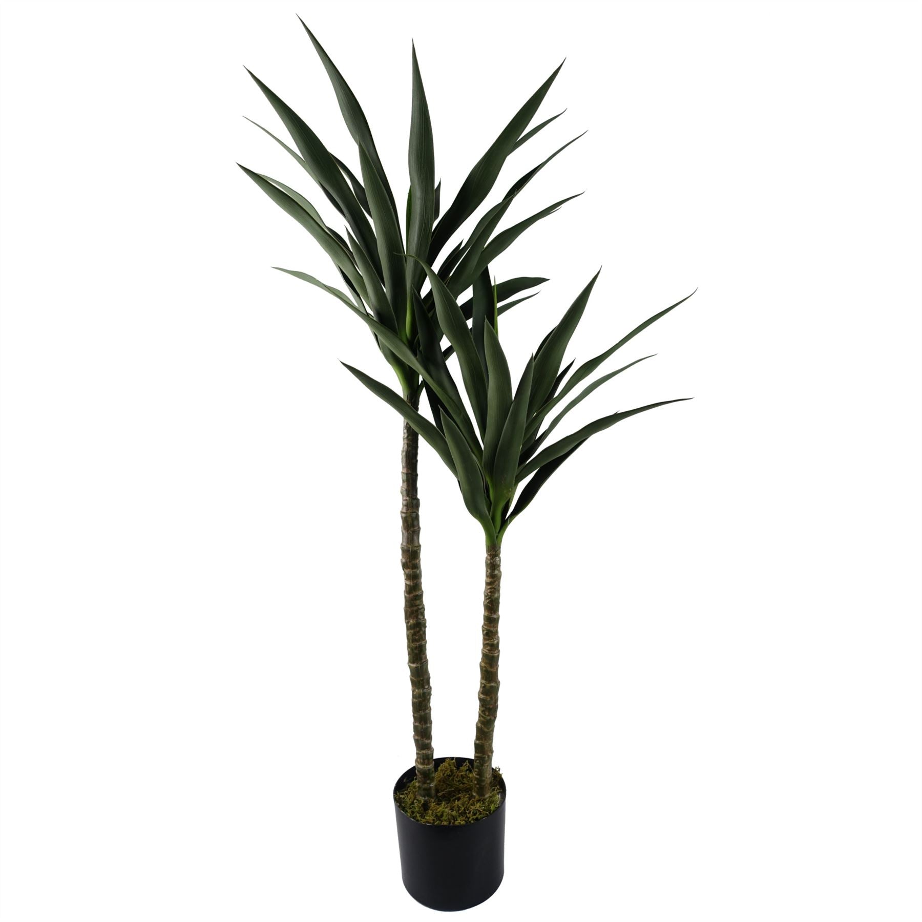 120cm UV Resistant Outdoor Yucca Tree in Pot